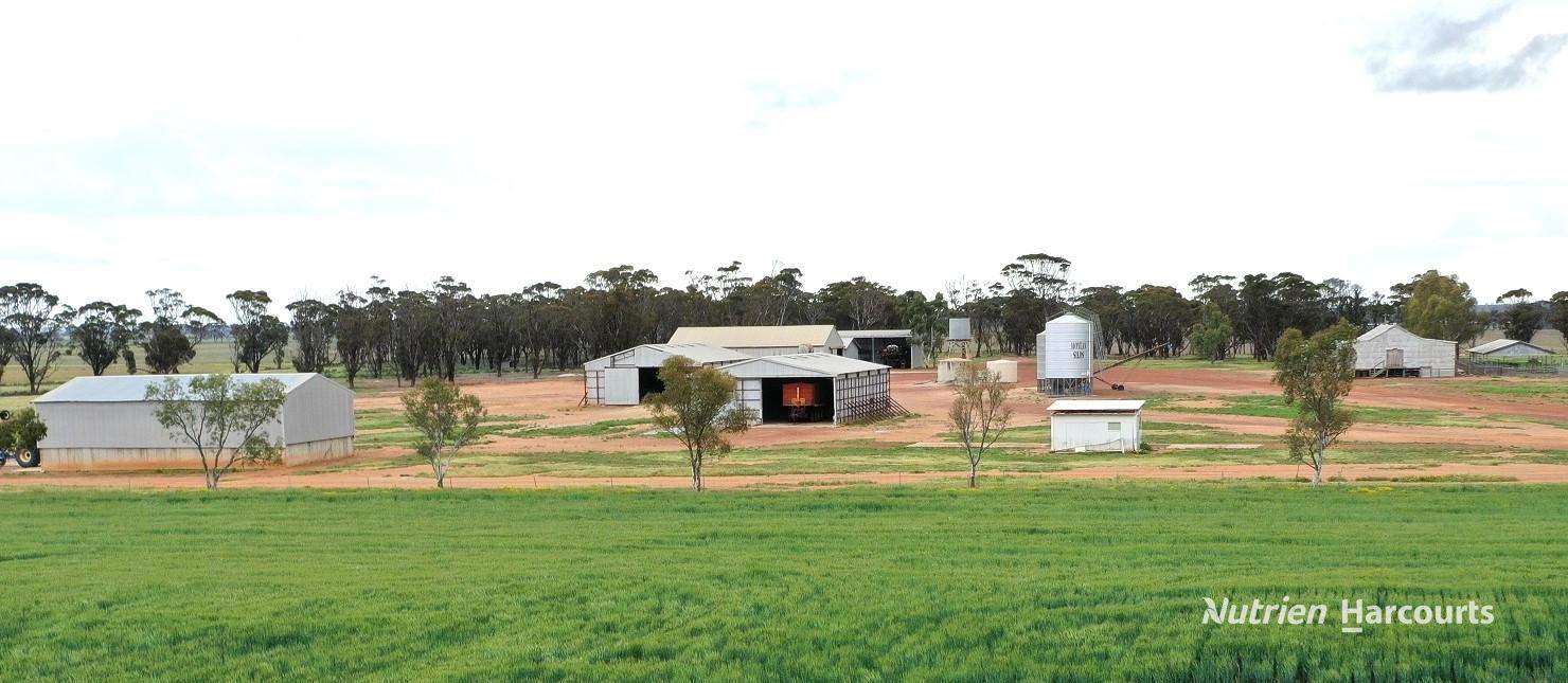 240 Corrigin-Narembeen Road, Corrigin For Sale by Farmbuy.com - image 26