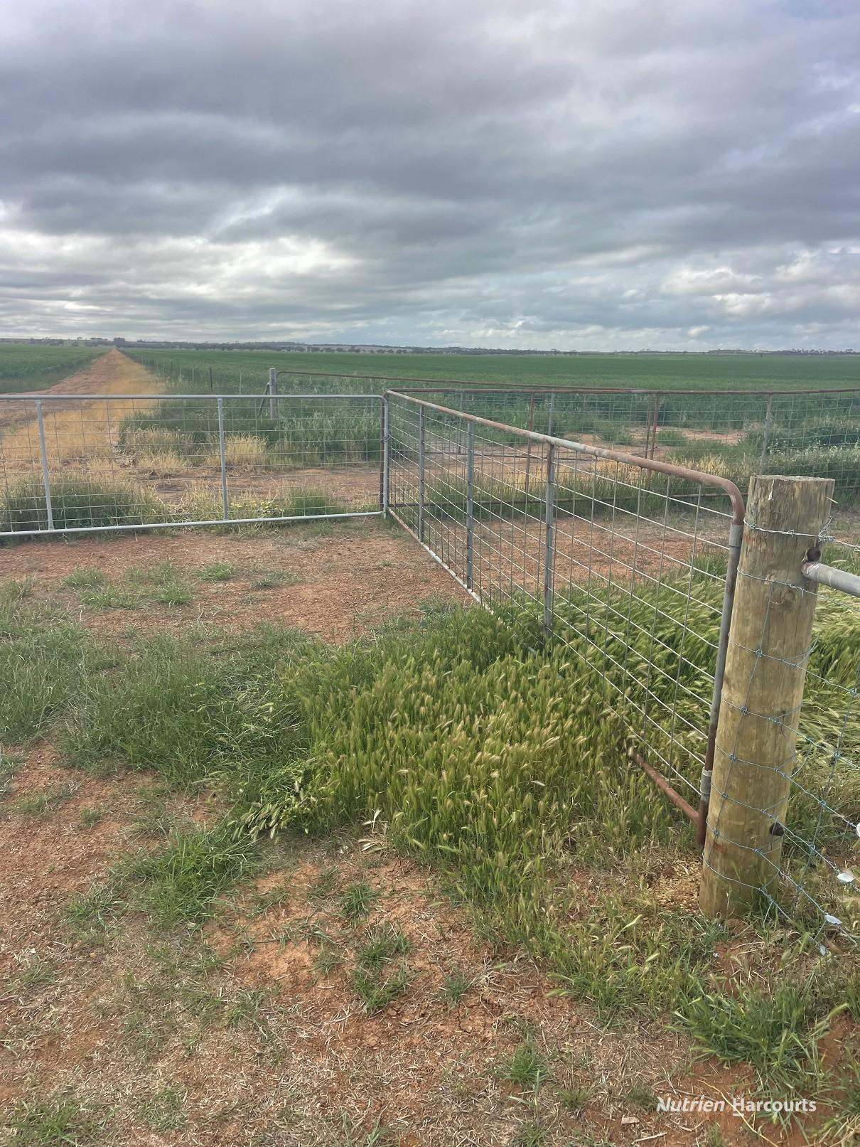 240 Corrigin-Narembeen Road, Corrigin For Sale by Farmbuy.com - image 15