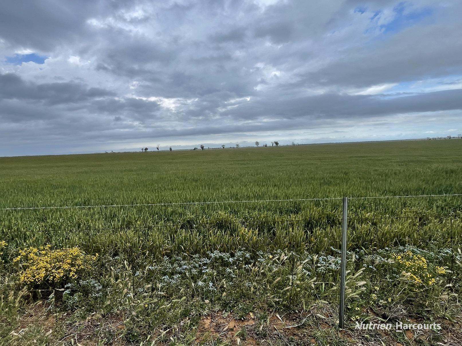 240 Corrigin-Narembeen Road, Corrigin For Sale by Farmbuy.com - image 25