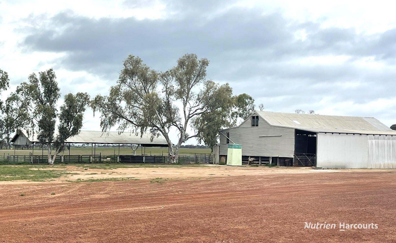 240 Corrigin-Narembeen Road, Corrigin For Sale by Farmbuy.com - image 22