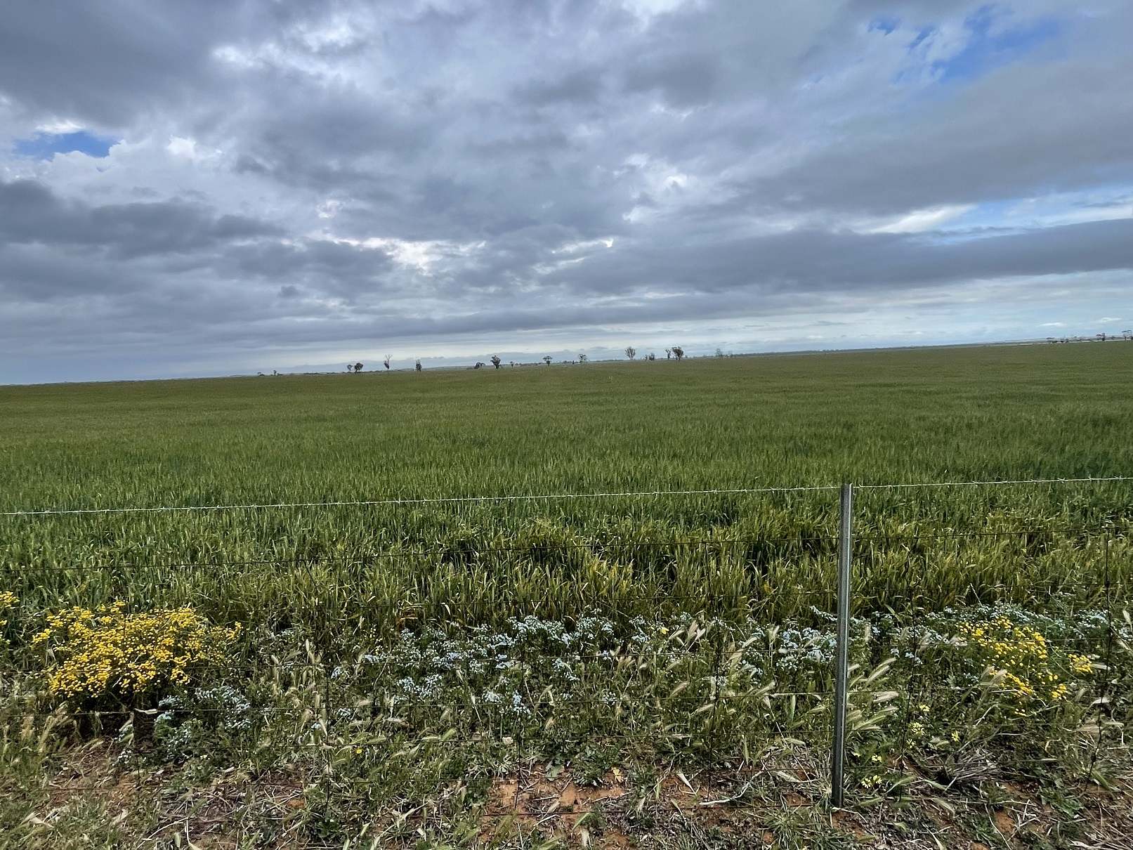 240 Corrigin-Narembeen Road, Corrigin For Sale by Farmbuy.com - image 25
