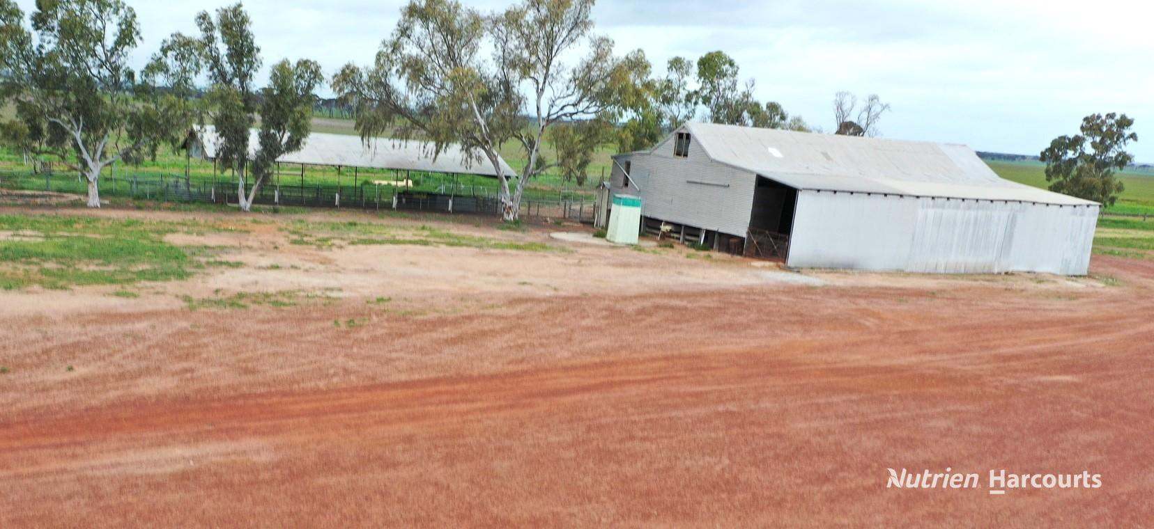 240 Corrigin-Narembeen Road, Corrigin For Sale by Farmbuy.com - image 12