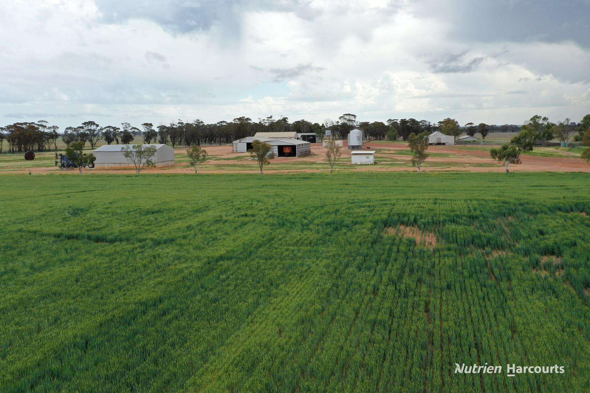 240 Corrigin-Narembeen Road, Corrigin For Sale by Farmbuy.com - image 13