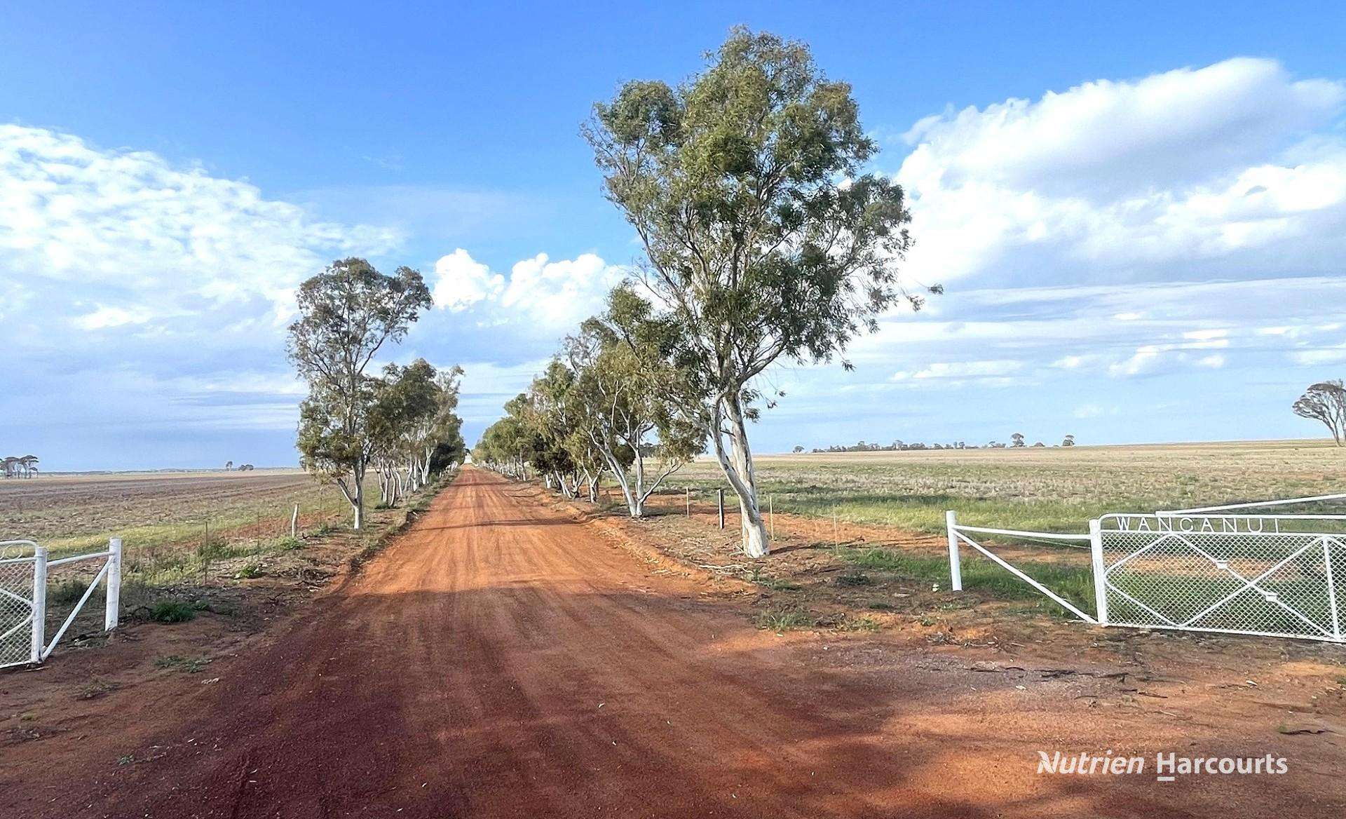 240 Corrigin-Narembeen Road, Corrigin For Sale by Farmbuy.com - image 1