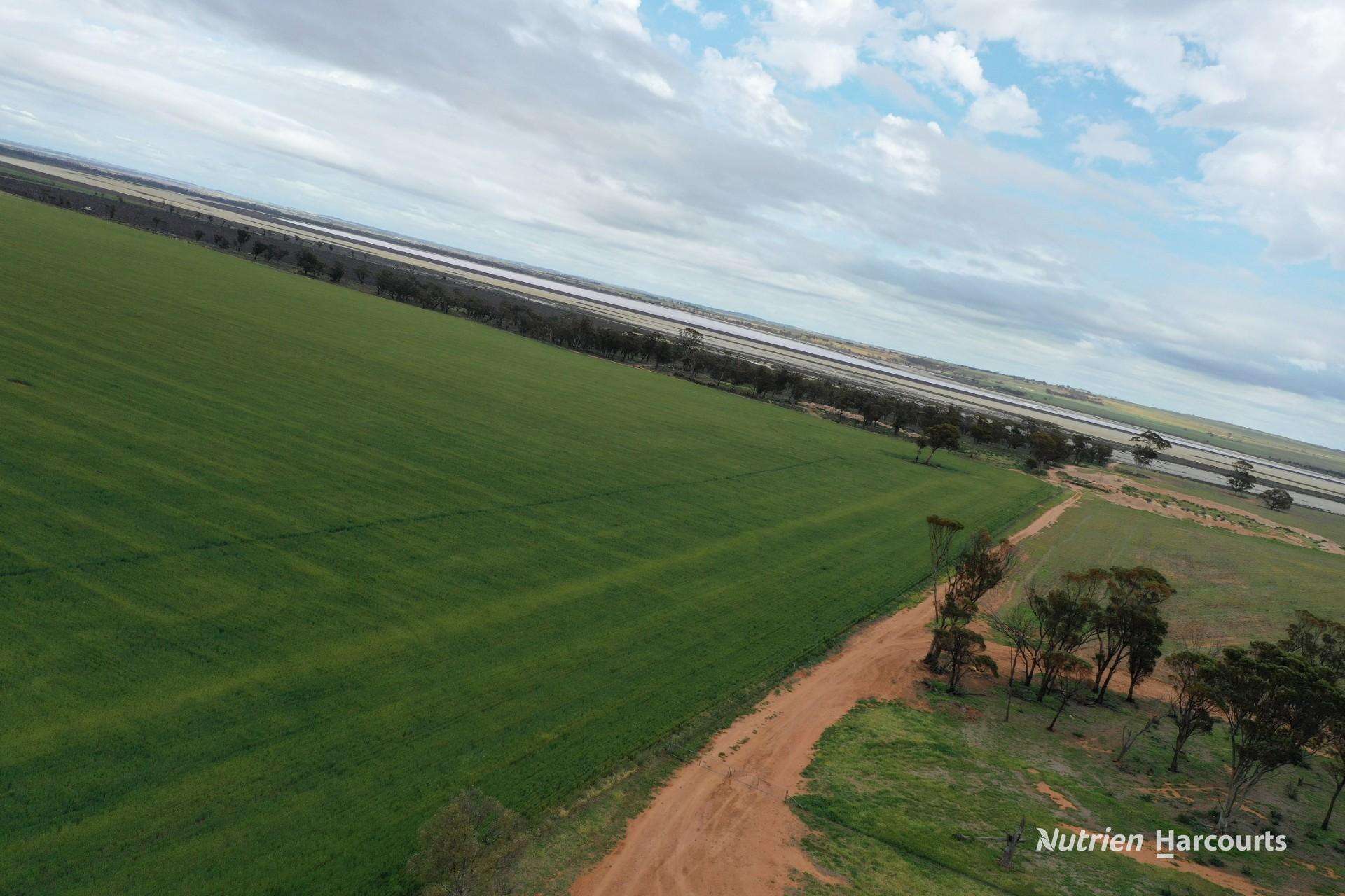 240 Corrigin-Narembeen Road, Corrigin For Sale by Farmbuy.com - image 2