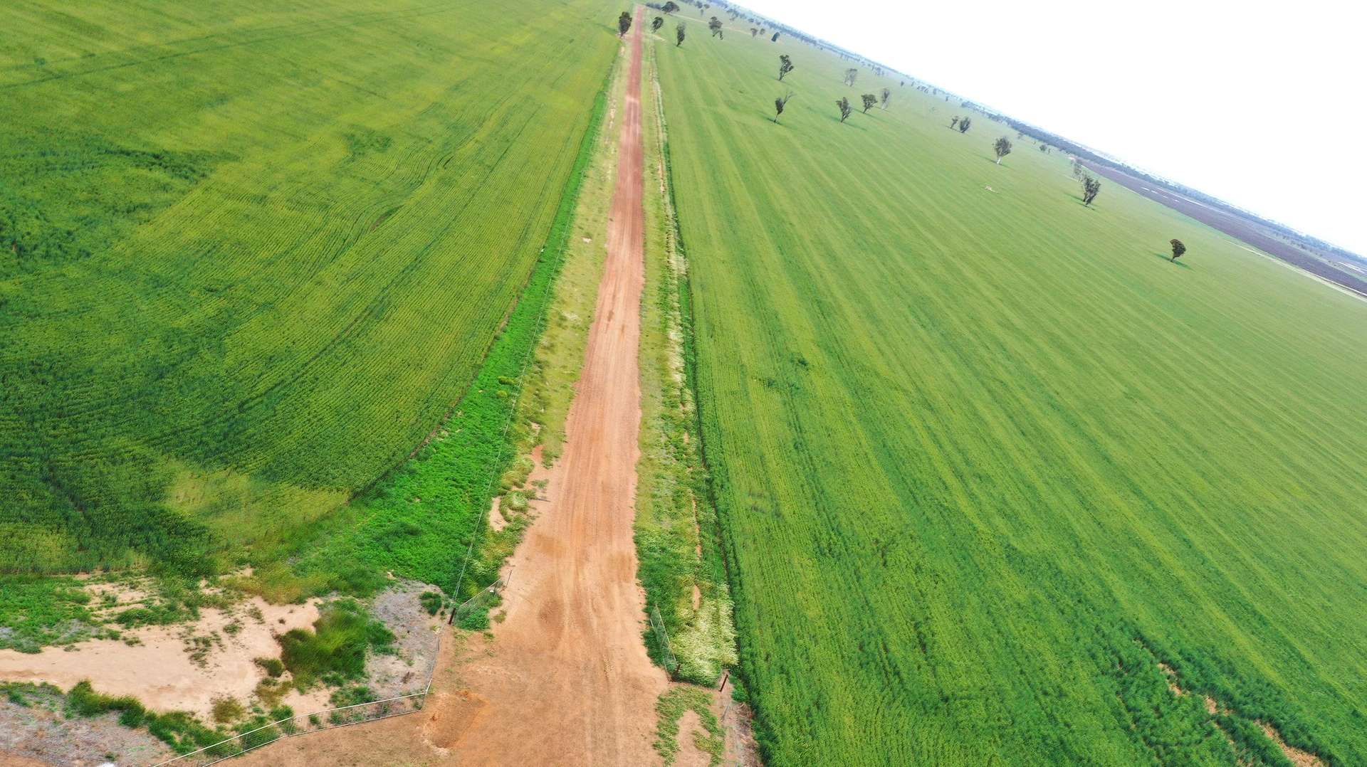 240 Corrigin-Narembeen Road, Corrigin For Sale by Farmbuy.com - image 30