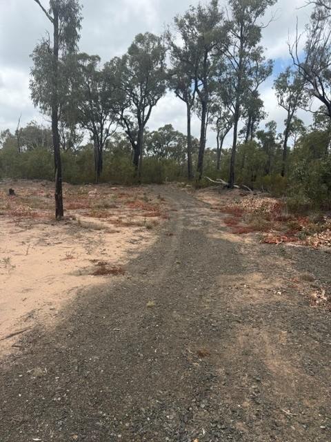 Lot 32,  Bay Road, Forest Ridge For Sale by Farmbuy.com - image 4