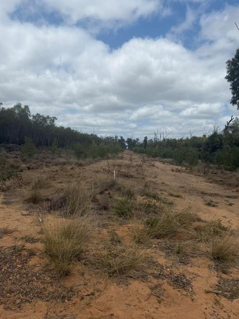 Lot 32,  Bay Road, Forest Ridge For Sale by Farmbuy.com - image 8