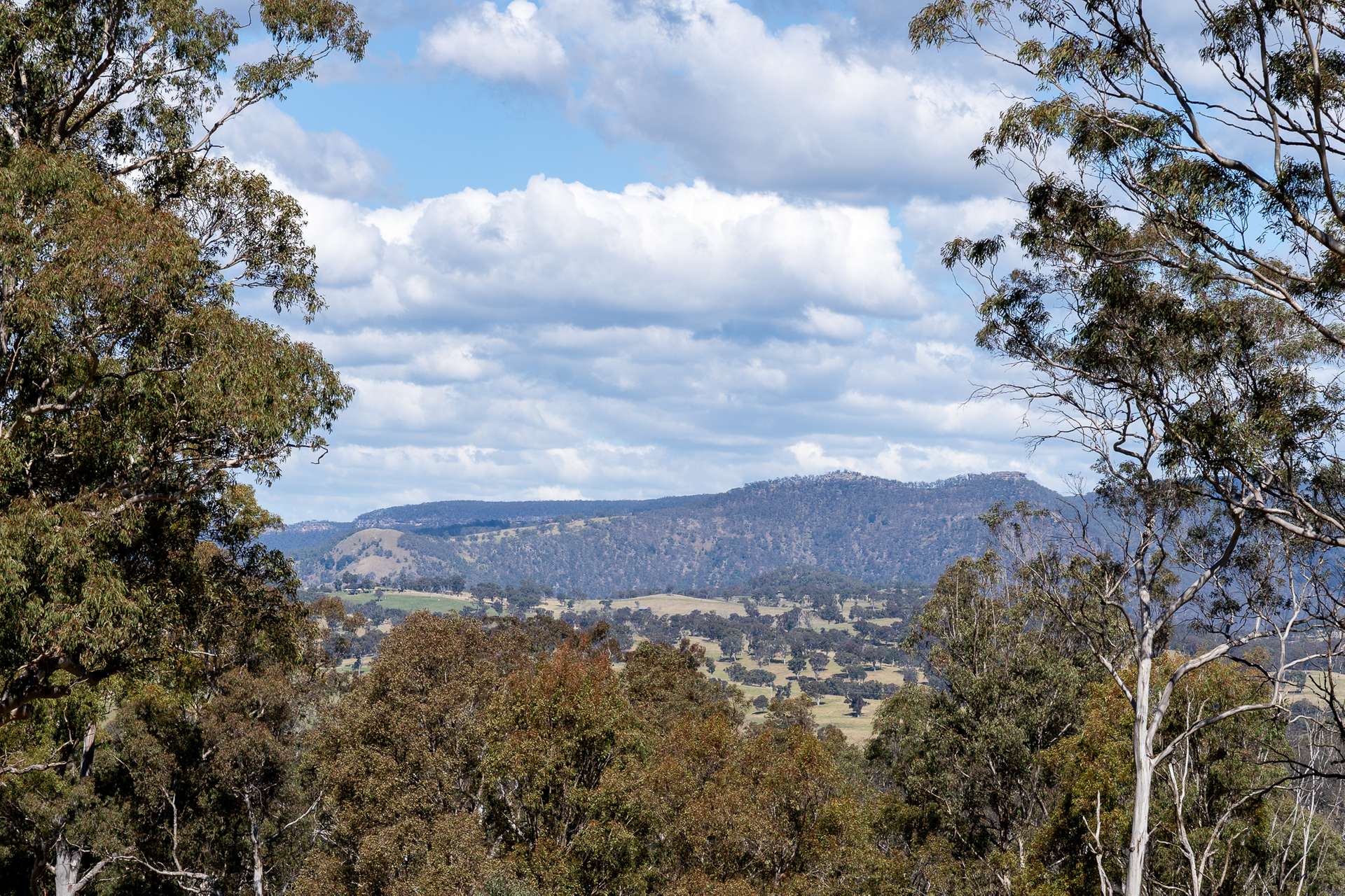 136 Lowther Siding Road, Lowther Auction by Farmbuy.com - image 27
