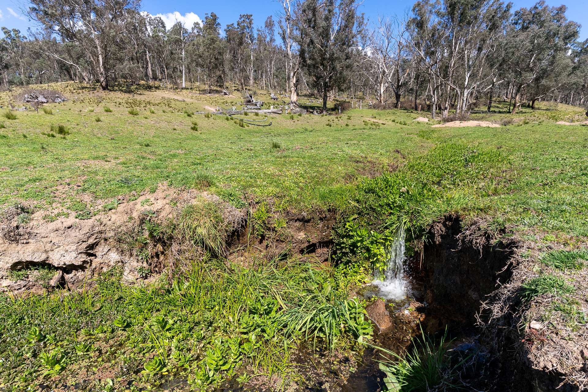 136 Lowther Siding Road, Lowther Auction by Farmbuy.com - image 7