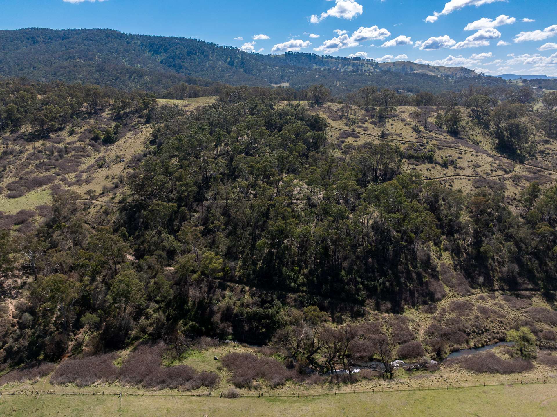 136 Lowther Siding Road, Lowther Auction by Farmbuy.com - image 24