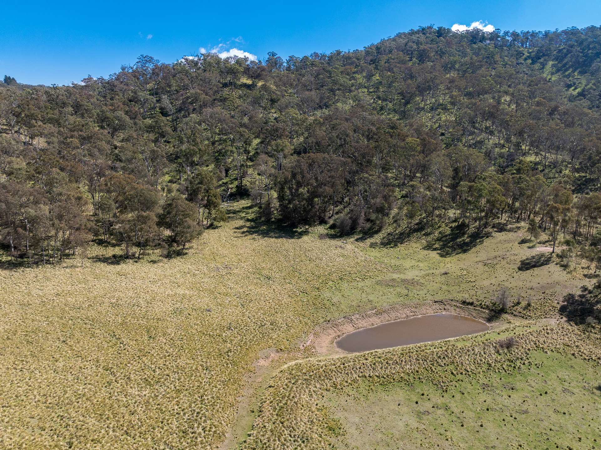 136 Lowther Siding Road, Lowther Auction by Farmbuy.com - image 19