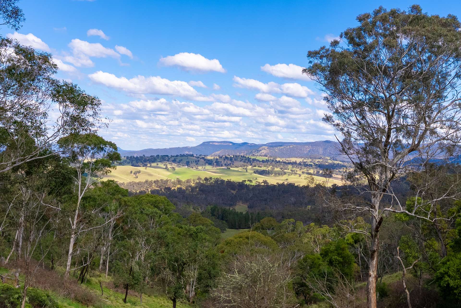 136 Lowther Siding Road, Lowther Auction by Farmbuy.com - image 5