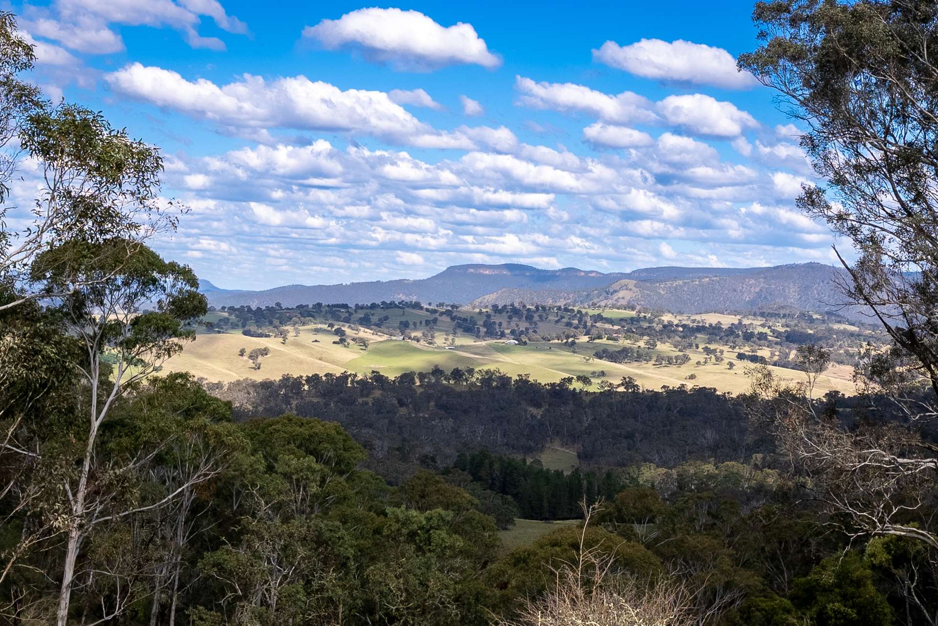136 Lowther Siding Road, Lowther Auction by Farmbuy.com - image 16