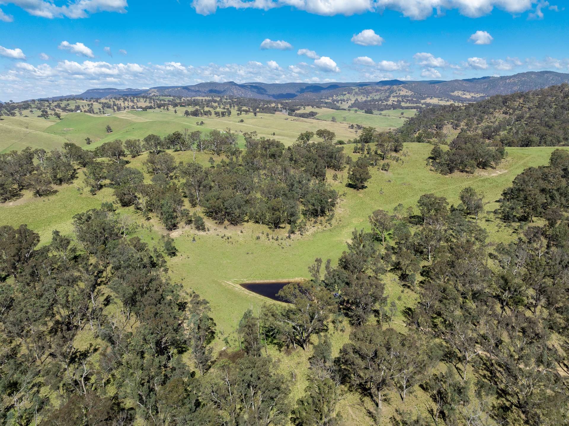 136 Lowther Siding Road, Lowther Auction by Farmbuy.com - image 21