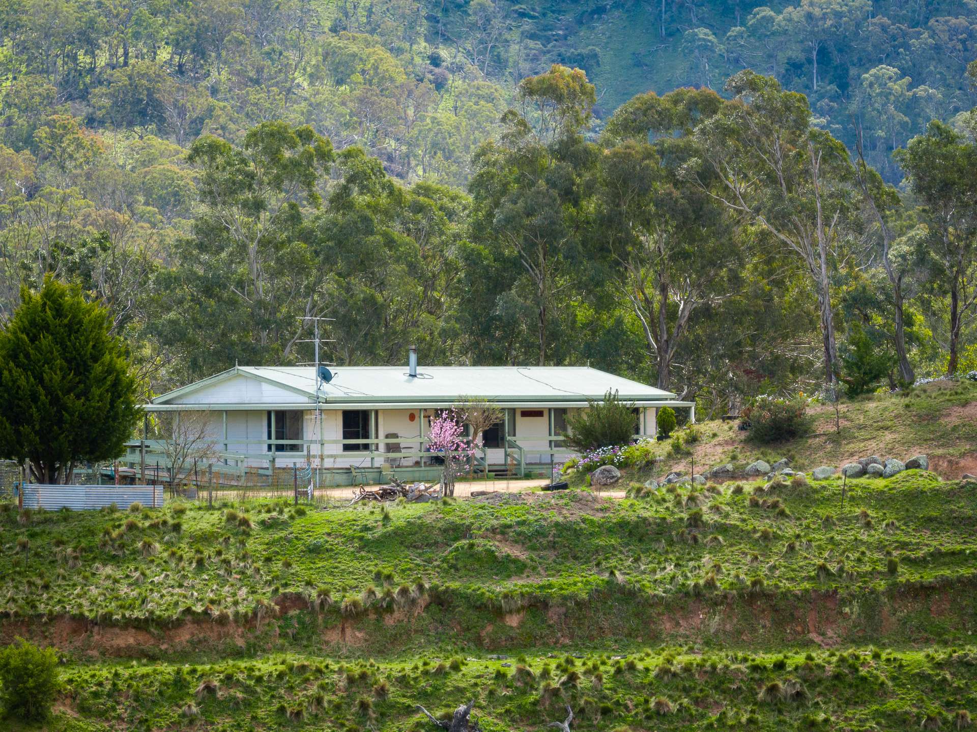 136 Lowther Siding Road, Lowther Auction by Farmbuy.com - image 2