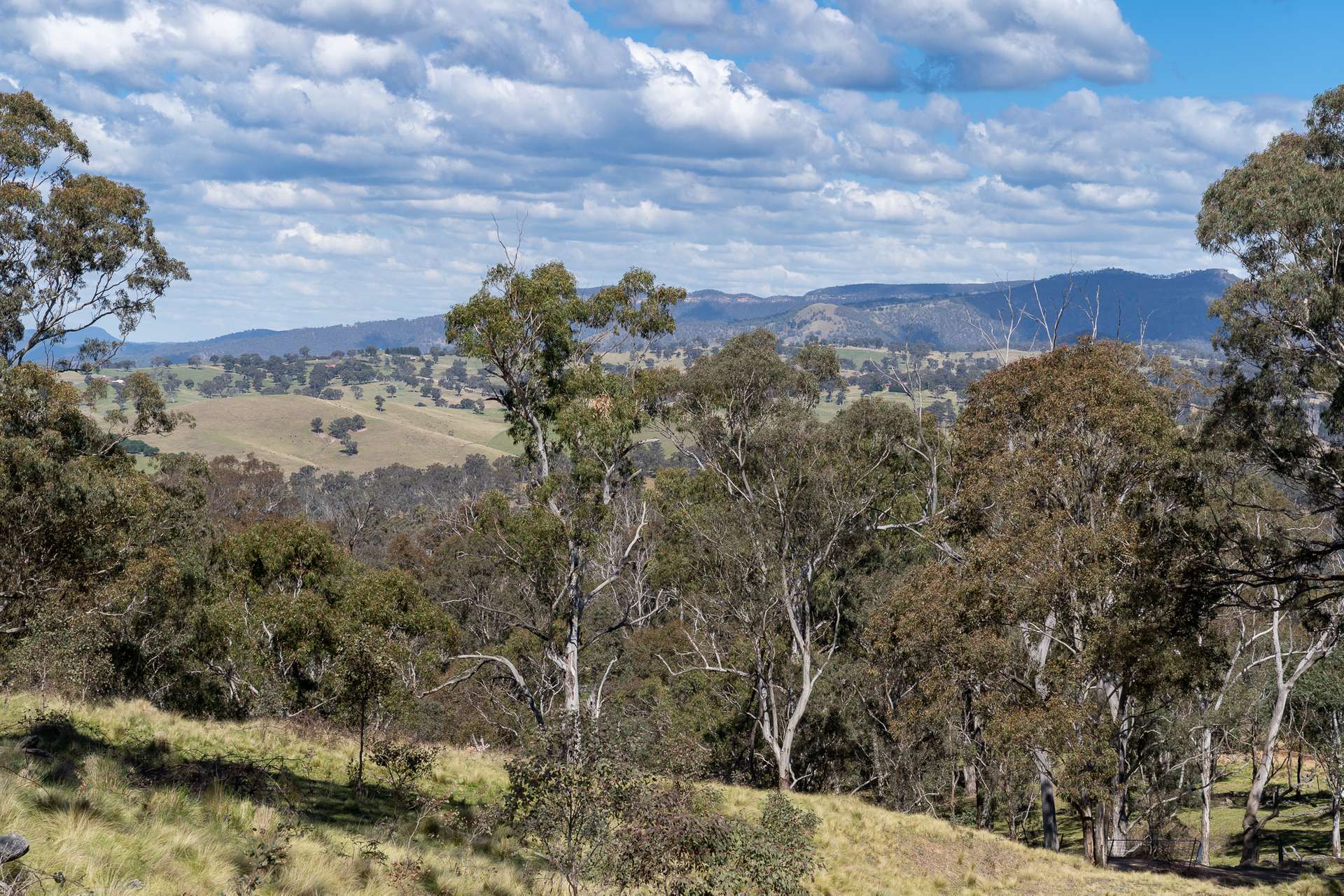 136 Lowther Siding Road, Lowther Auction by Farmbuy.com - image 23