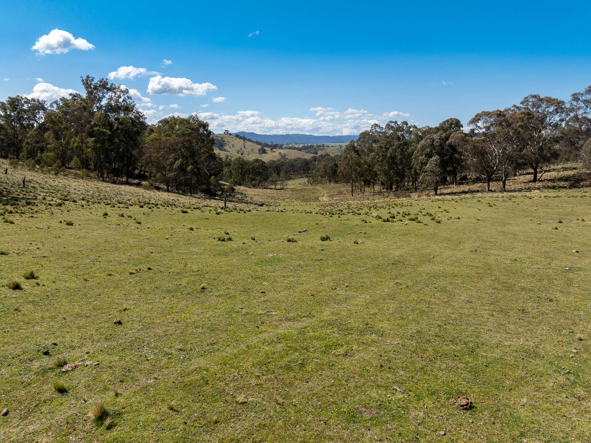 136 Lowther Siding Road, Lowther Auction by Farmbuy.com - image 18