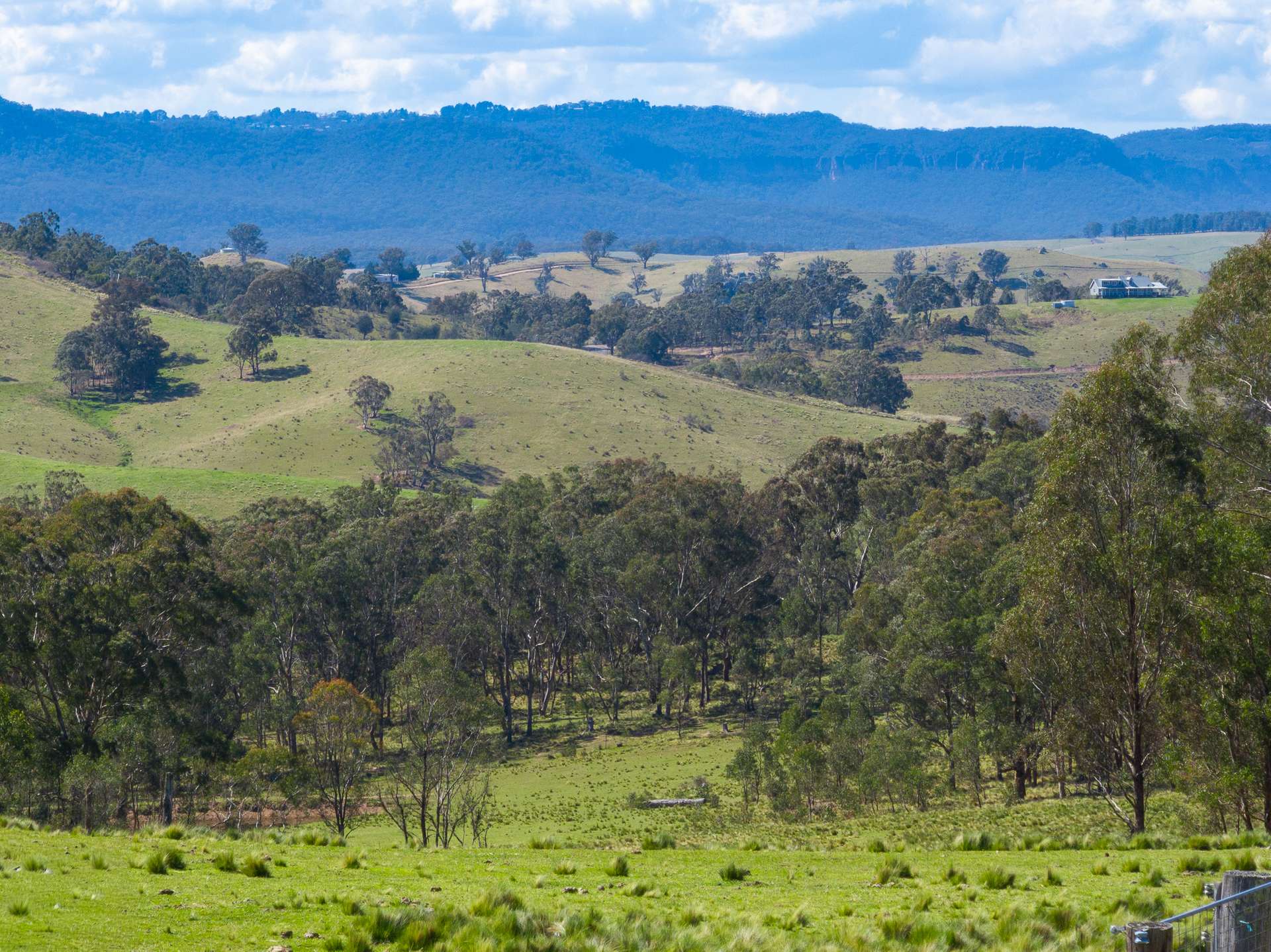 136 Lowther Siding Road, Lowther Auction by Farmbuy.com - image 4