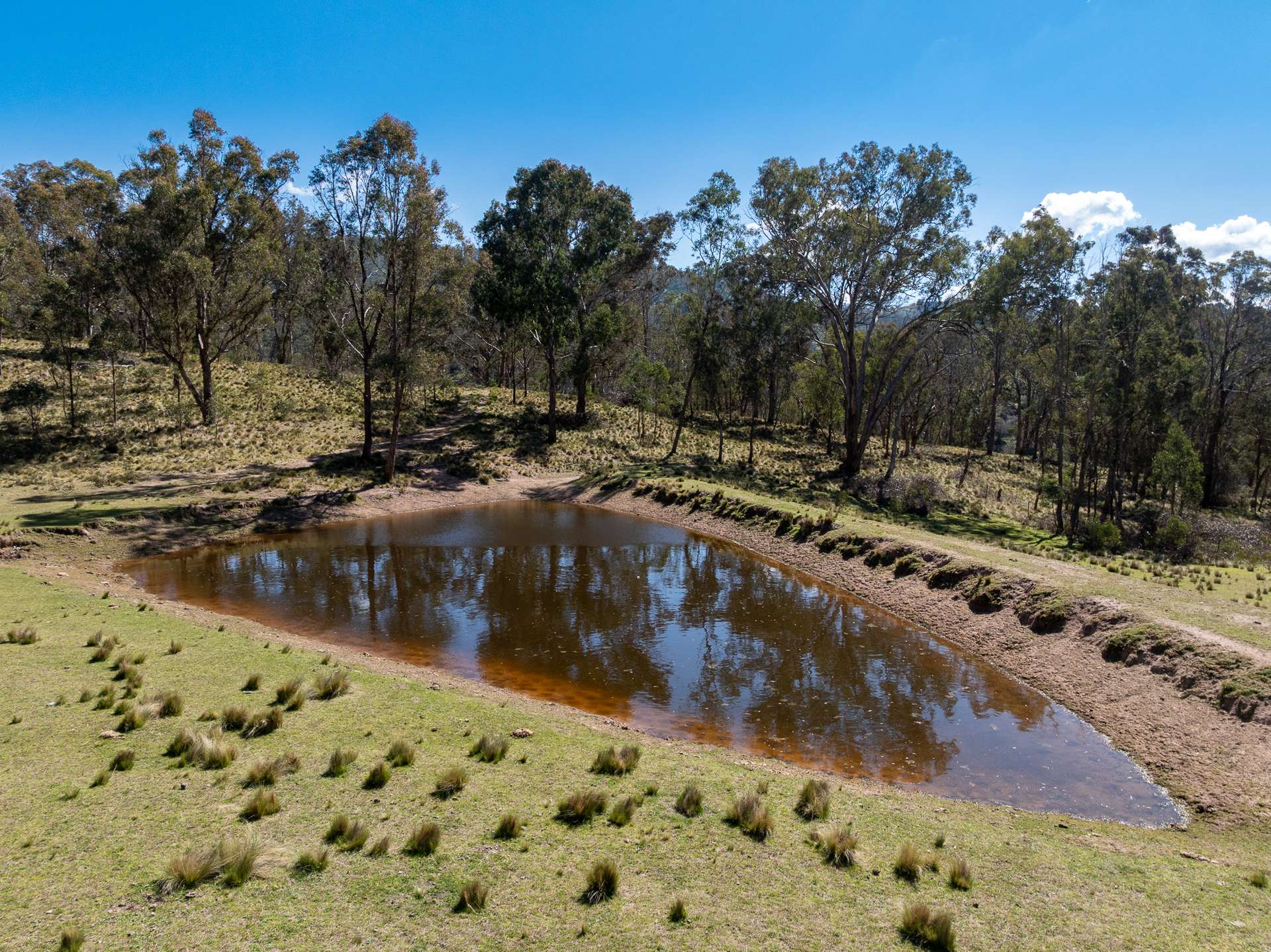 136 Lowther Siding Road, Lowther Auction by Farmbuy.com - image 17