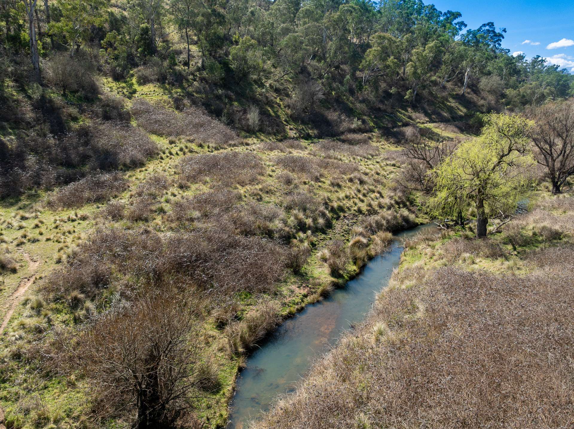 136 Lowther Siding Road, Lowther Auction by Farmbuy.com - image 8