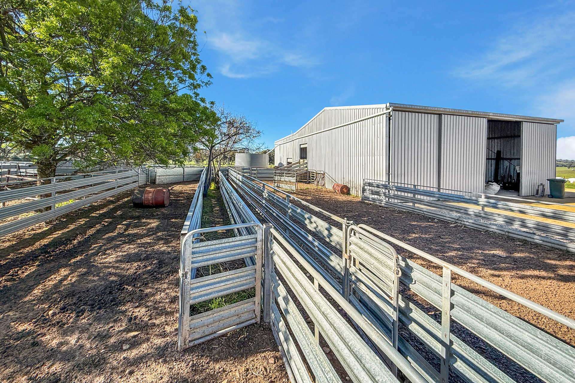 828 Sheep Station Road, Cowra For Sale by Farmbuy.com - image 25