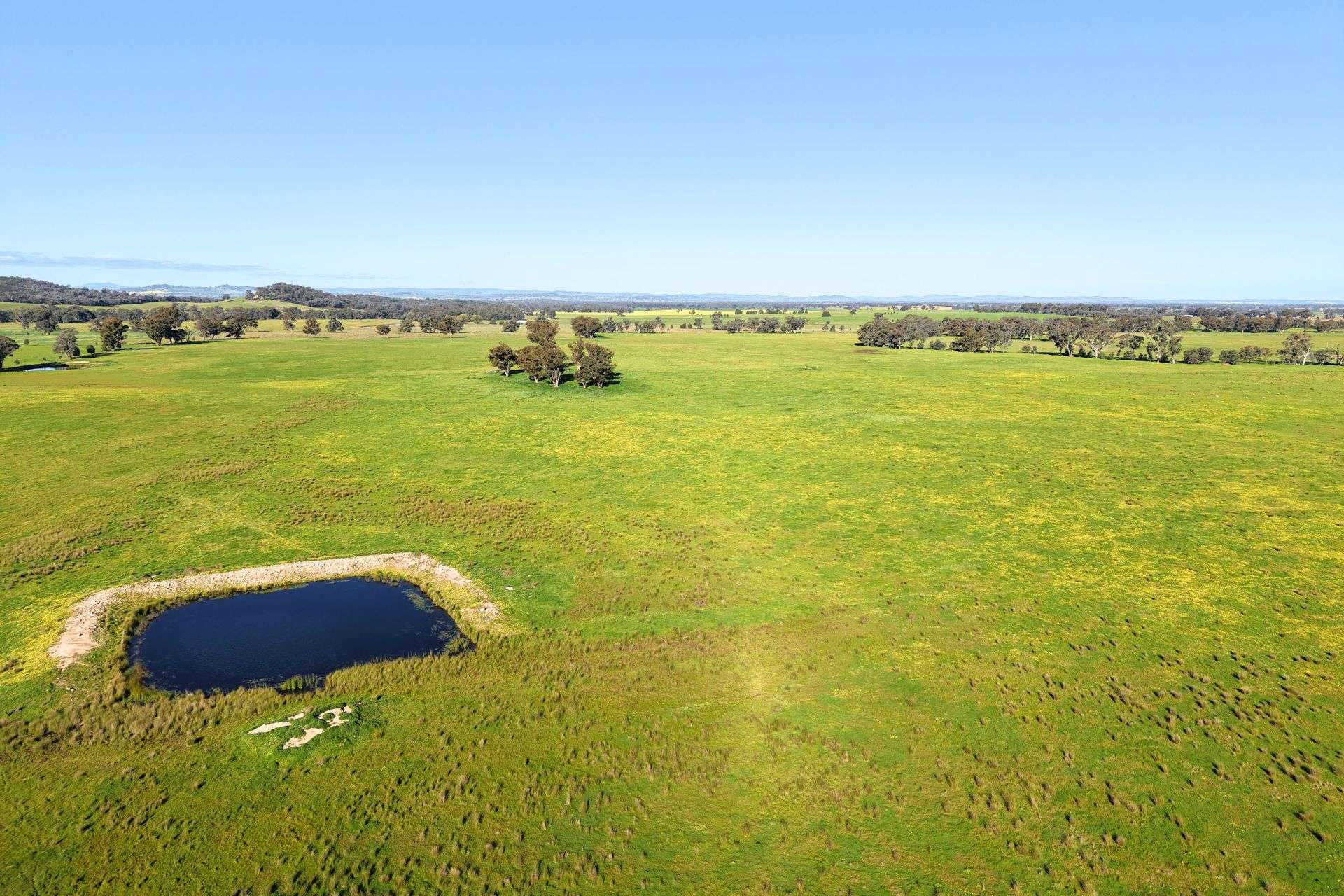 828 Sheep Station Road, Cowra For Sale by Farmbuy.com - image 29