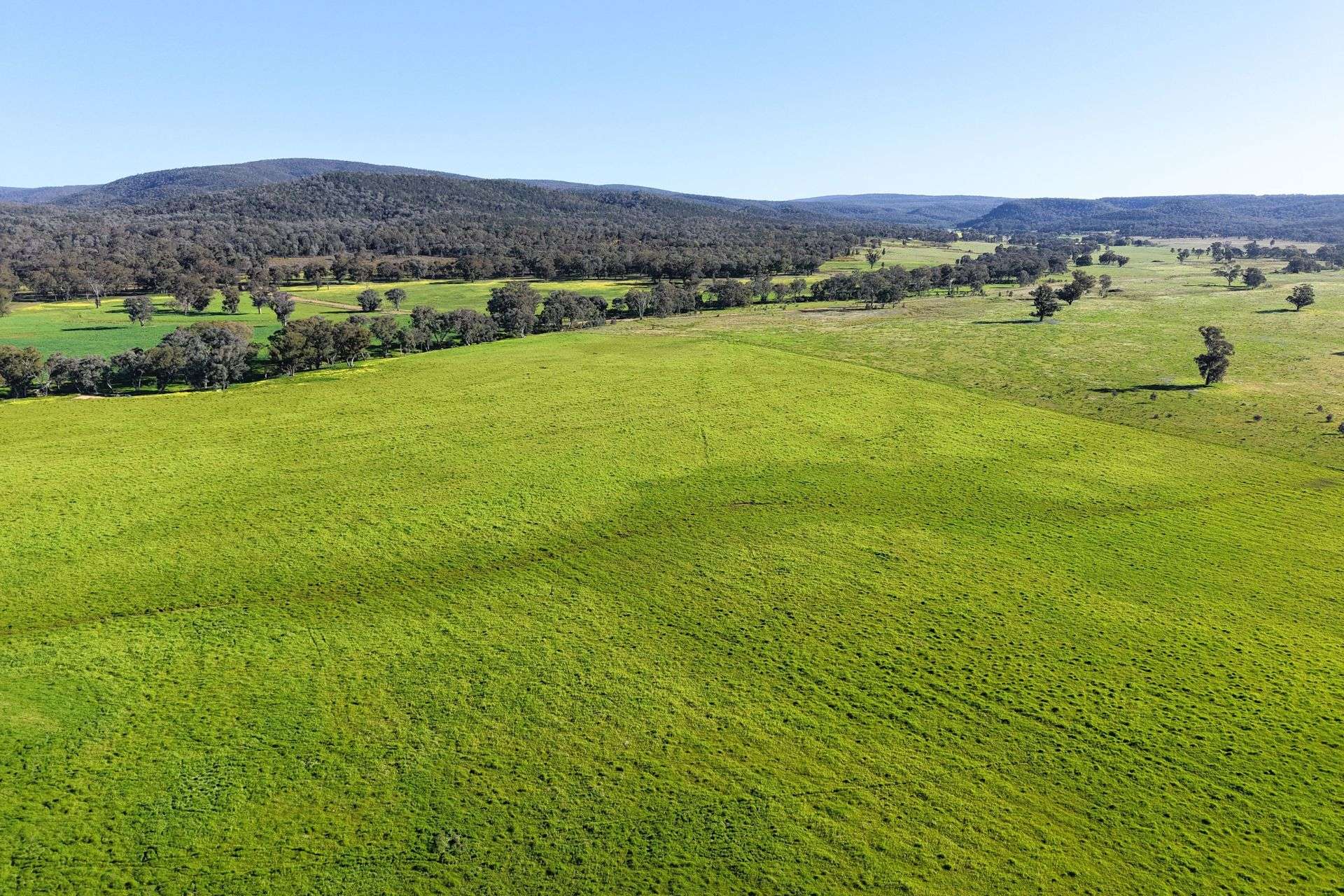 828 Sheep Station Road, Cowra For Sale by Farmbuy.com - image 33