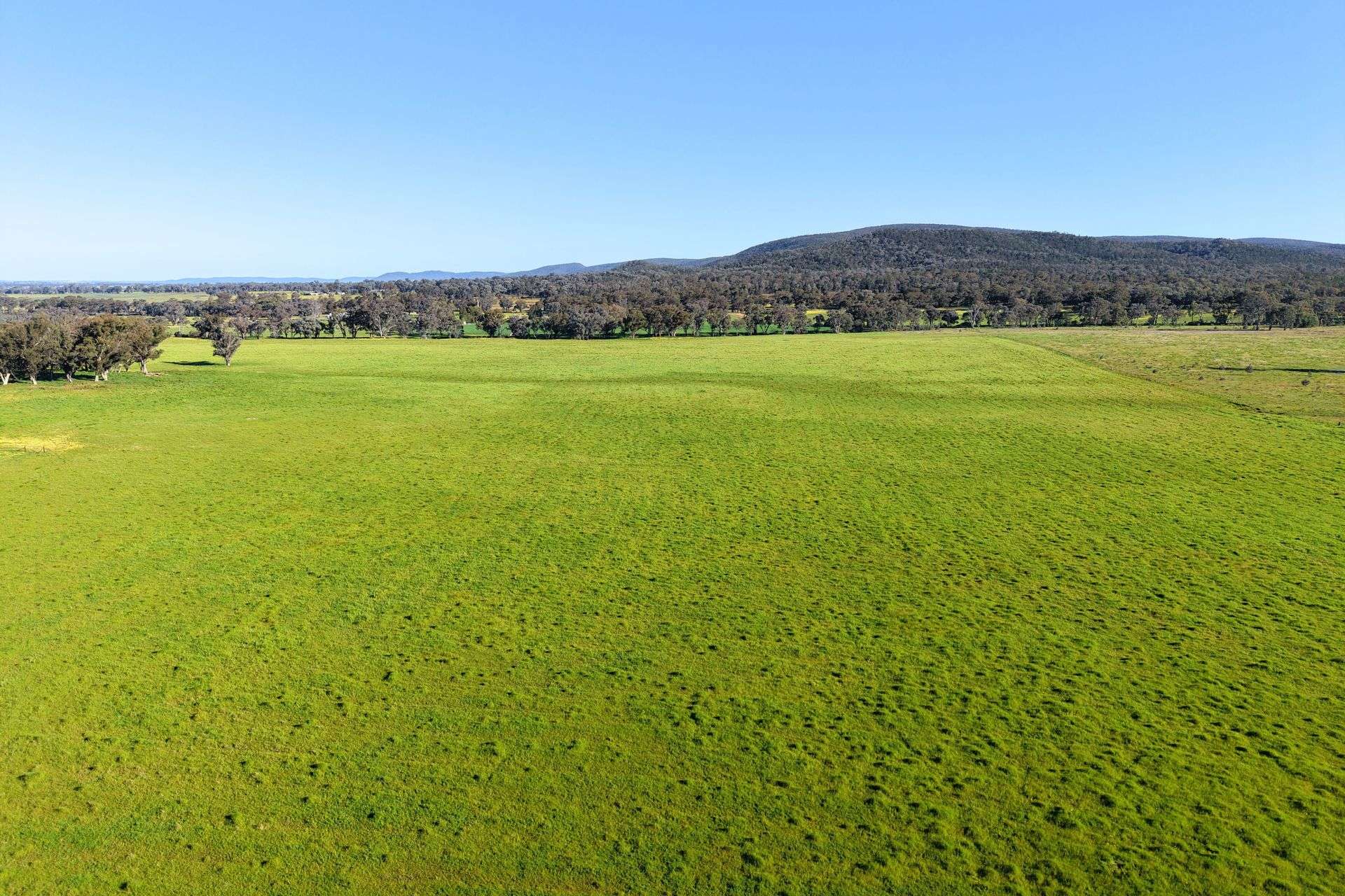 828 Sheep Station Road, Cowra For Sale by Farmbuy.com - image 34