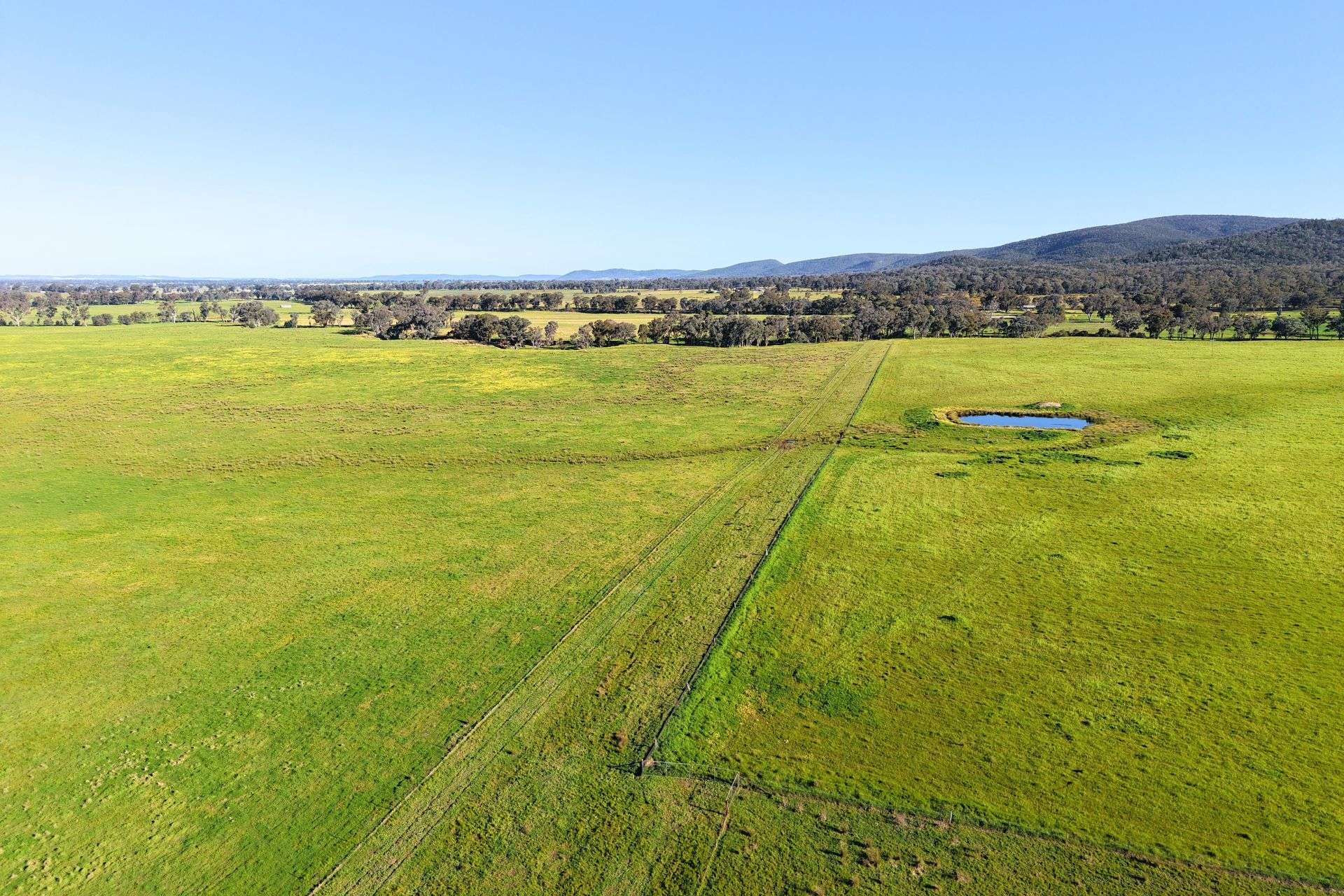 828 Sheep Station Road, Cowra For Sale by Farmbuy.com - image 3