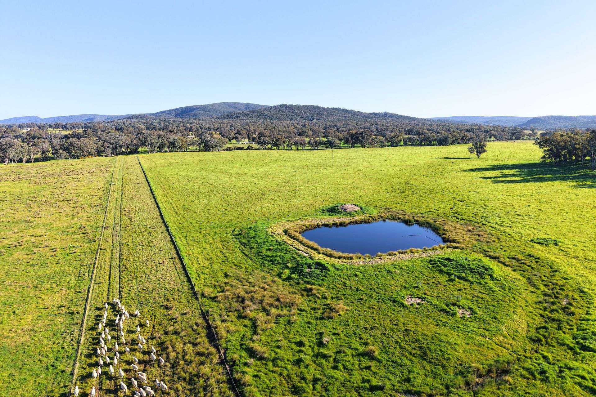 828 Sheep Station Road, Cowra For Sale by Farmbuy.com - image 2