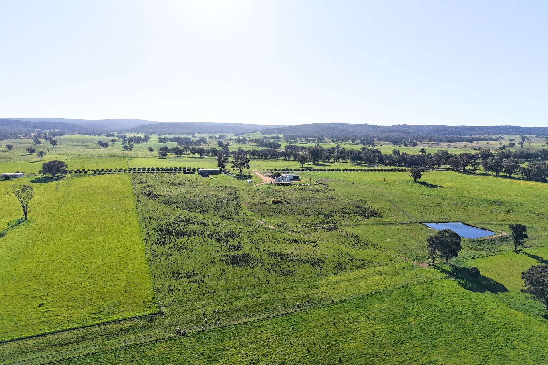 828 Sheep Station Road, Cowra For Sale by Farmbuy.com - image 30