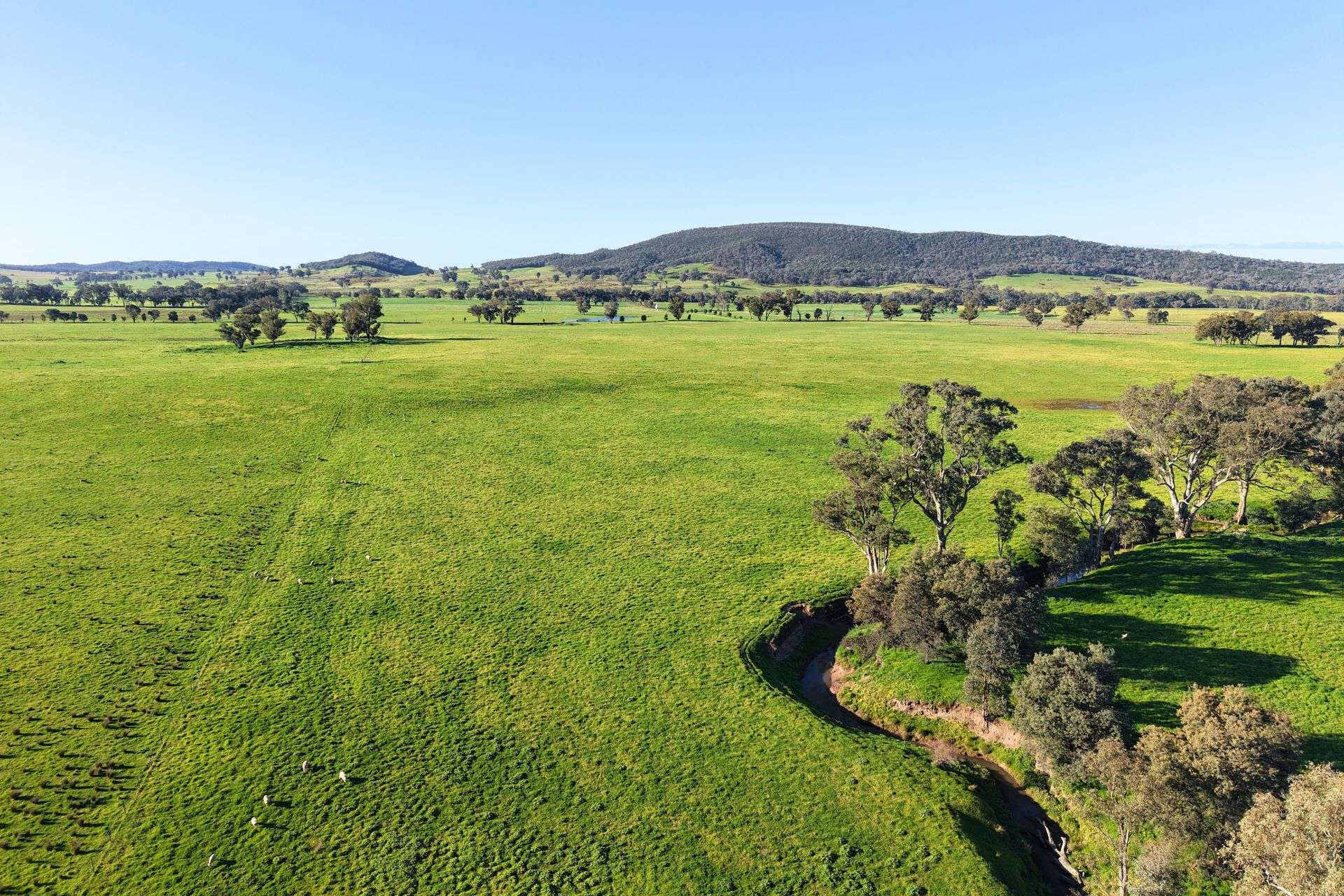828 Sheep Station Road, Cowra For Sale by Farmbuy.com - image 35
