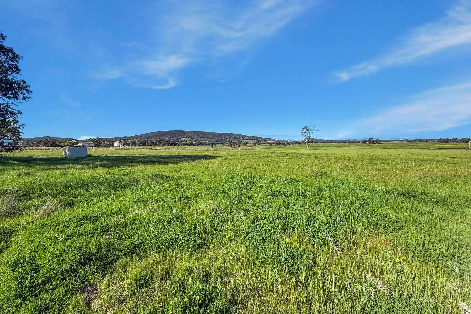 828 Sheep Station Road, Cowra For Sale by Farmbuy.com - image 31