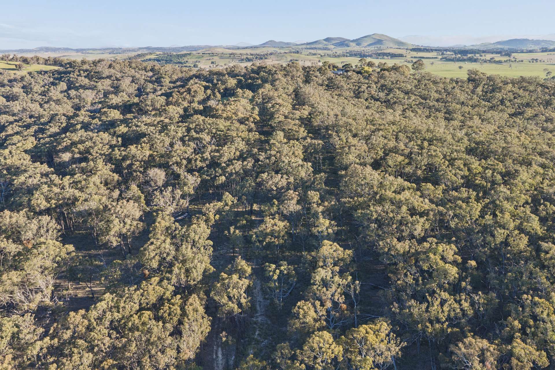 "Woodhill", 1206 Nanima Road, Nanima Auction by Farmbuy.com - image 30