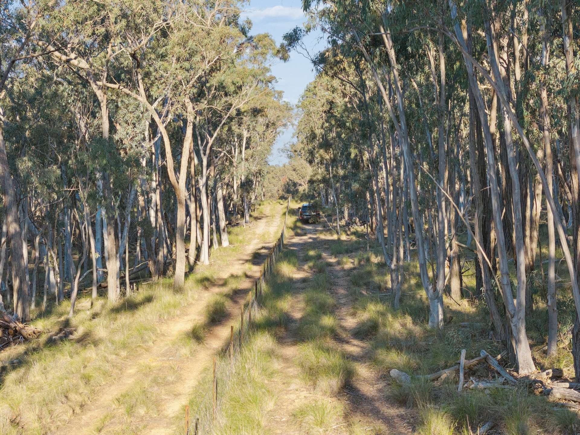 "Woodhill", 1206 Nanima Road, Nanima Auction by Farmbuy.com - image 29