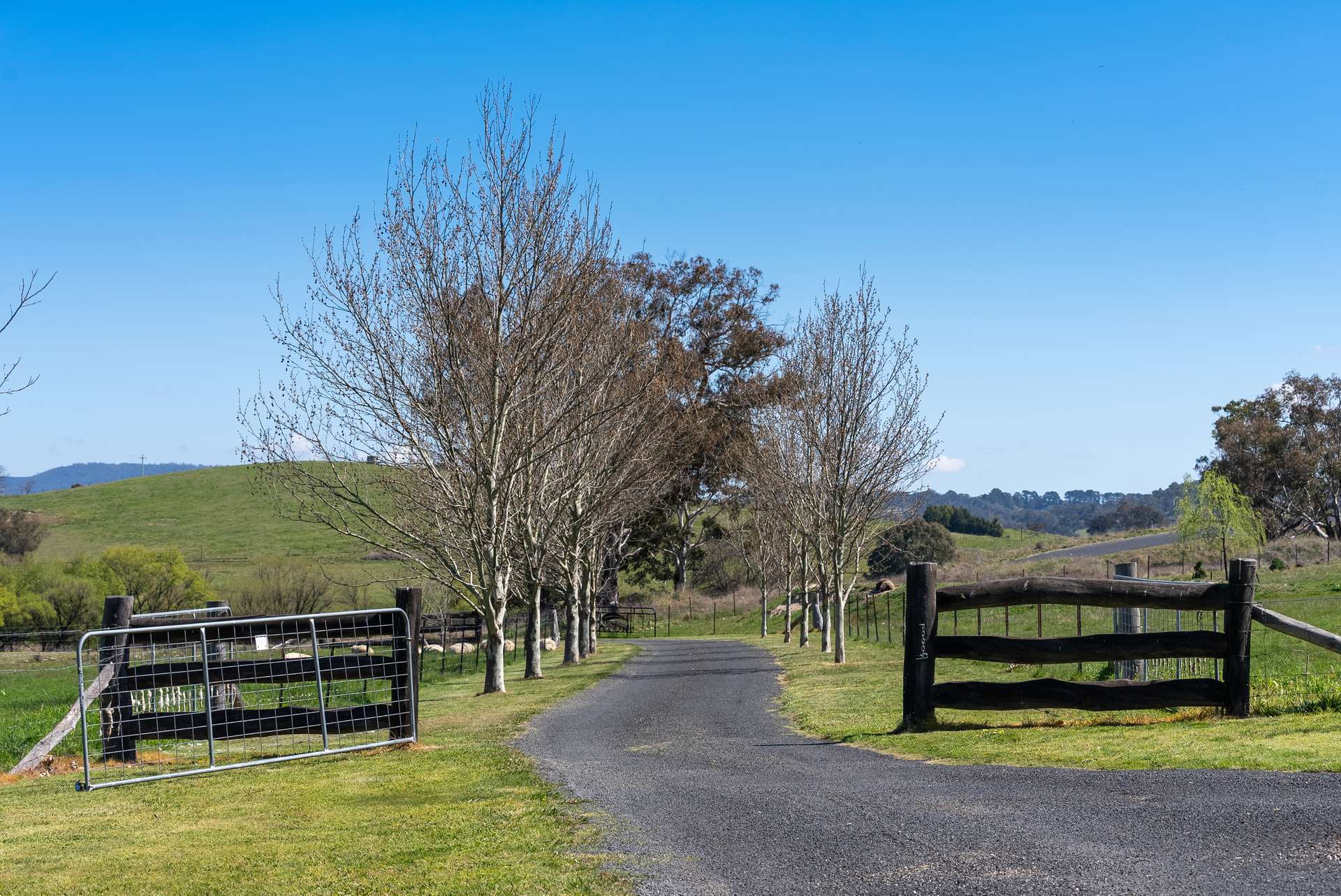2885 Tarana Road, Tarana Auction by Farmbuy.com - image 1