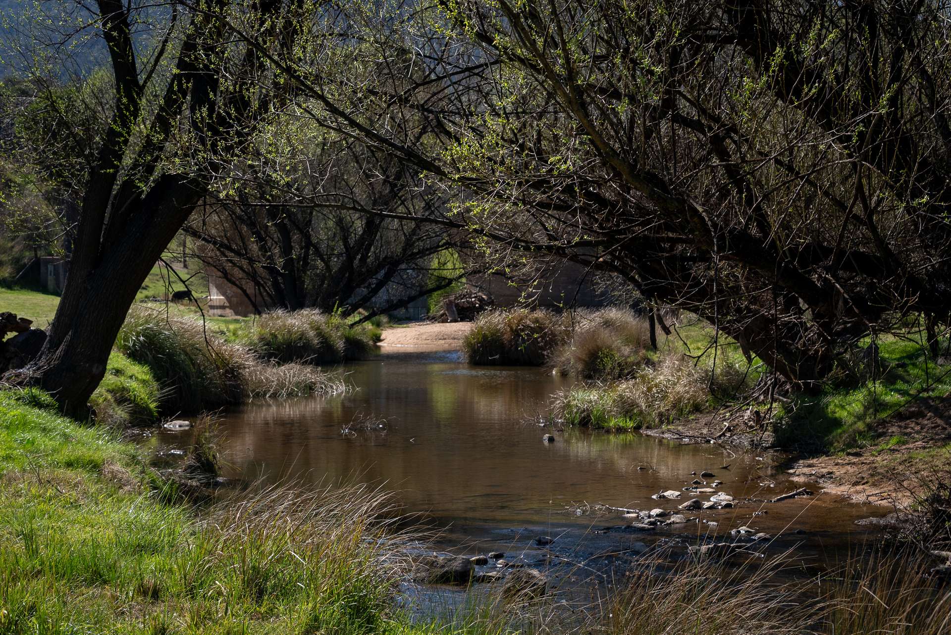 2885 Tarana Road, Tarana Auction by Farmbuy.com - image 24