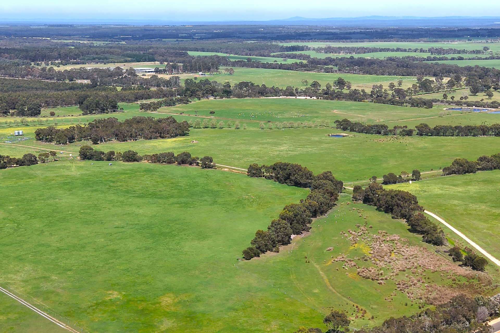 81 O'Neill Road, Mount Barker For Sale by Farmbuy.com - image 4