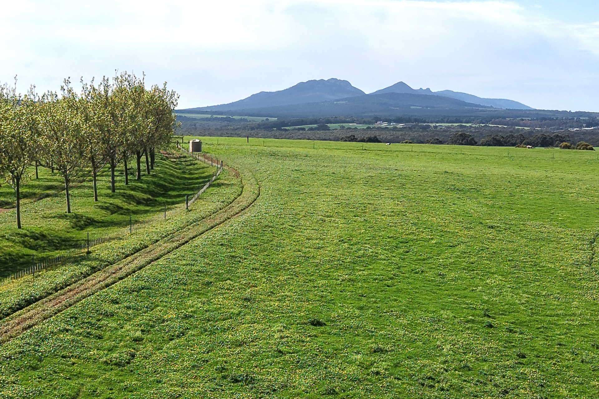 81 O'Neill Road, Mount Barker For Sale by Farmbuy.com - image 5