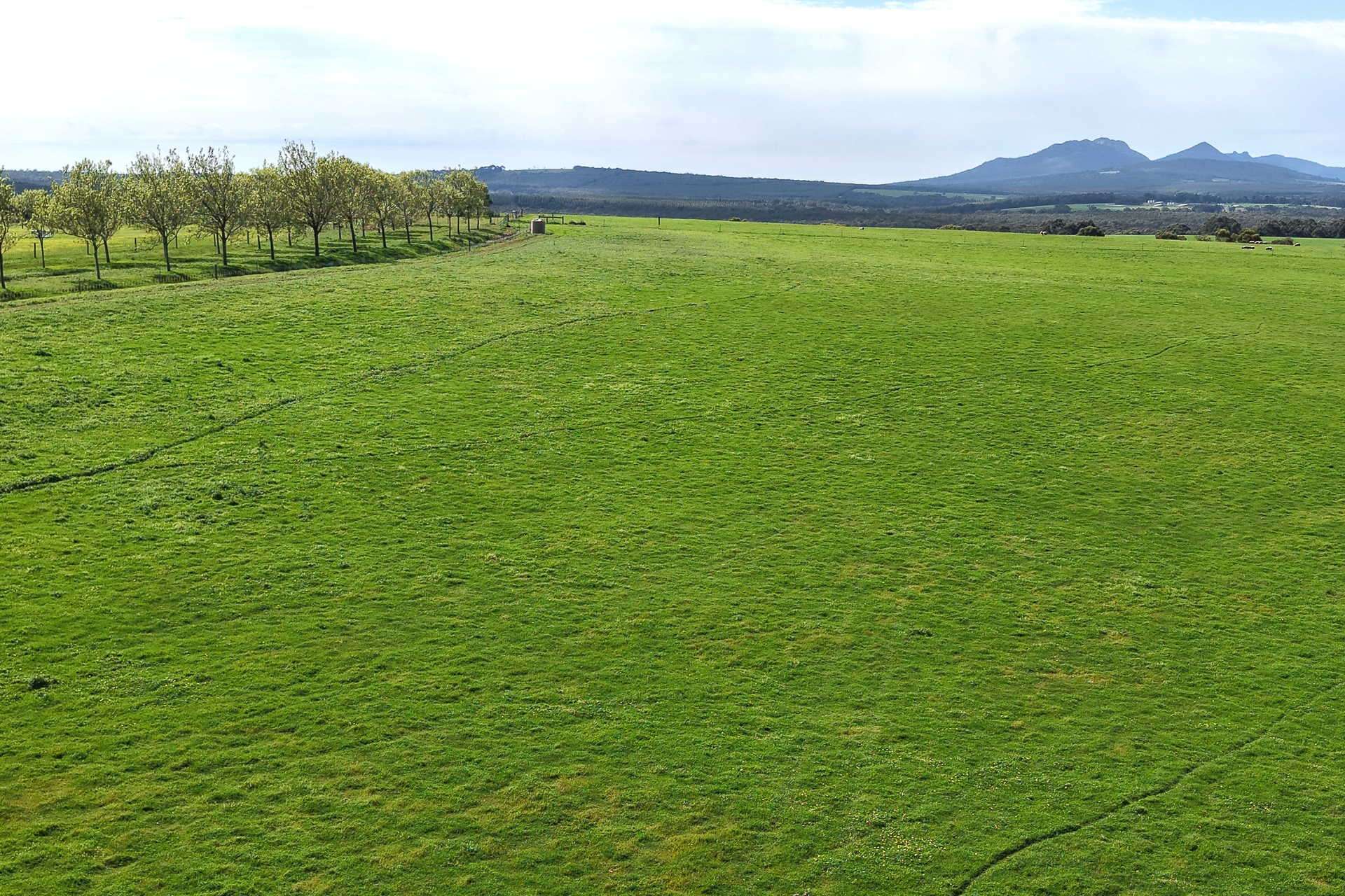 81 O'Neill Road, Mount Barker For Sale by Farmbuy.com - image 25