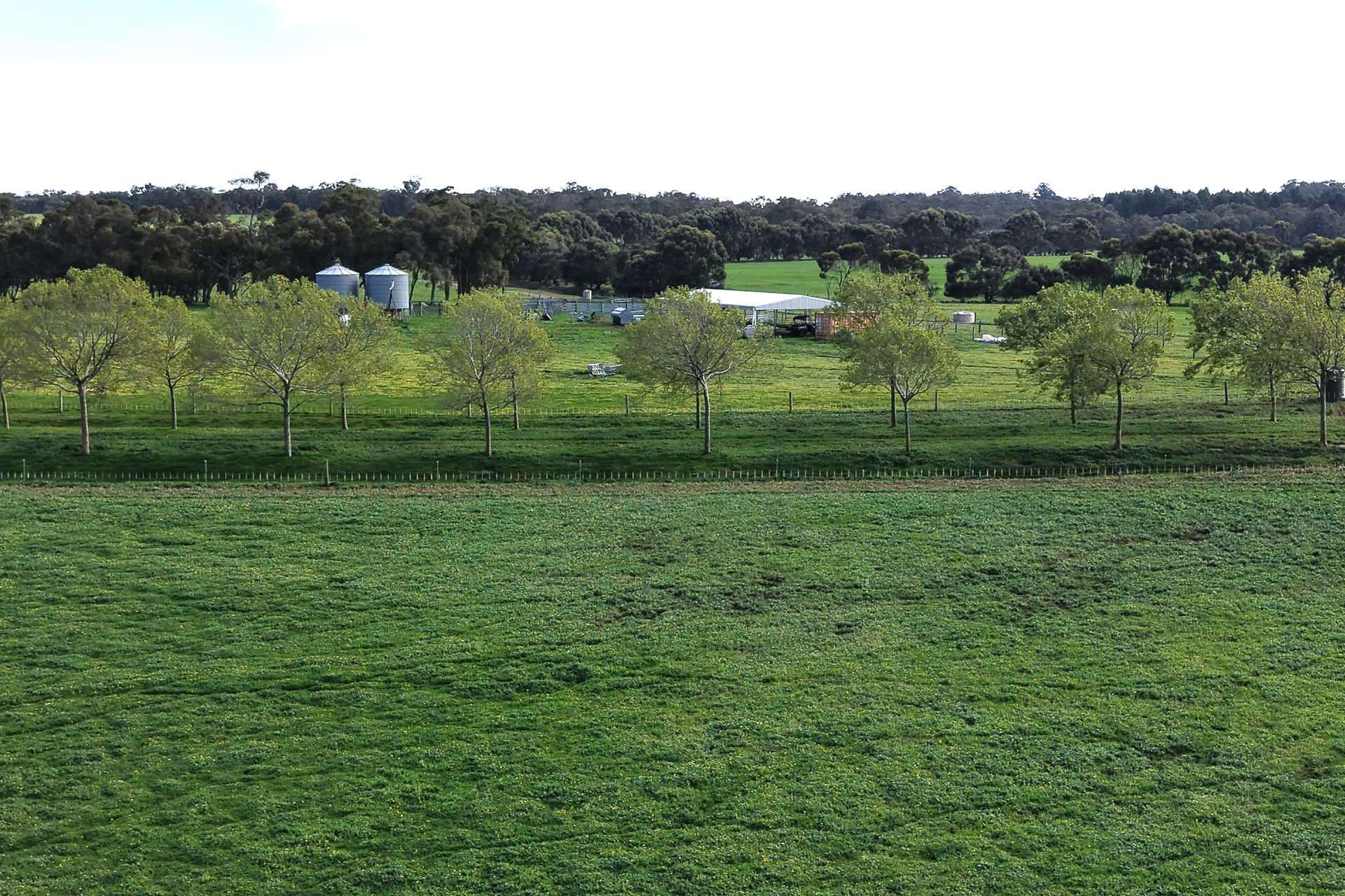 81 O'Neill Road, Mount Barker For Sale by Farmbuy.com - image 21