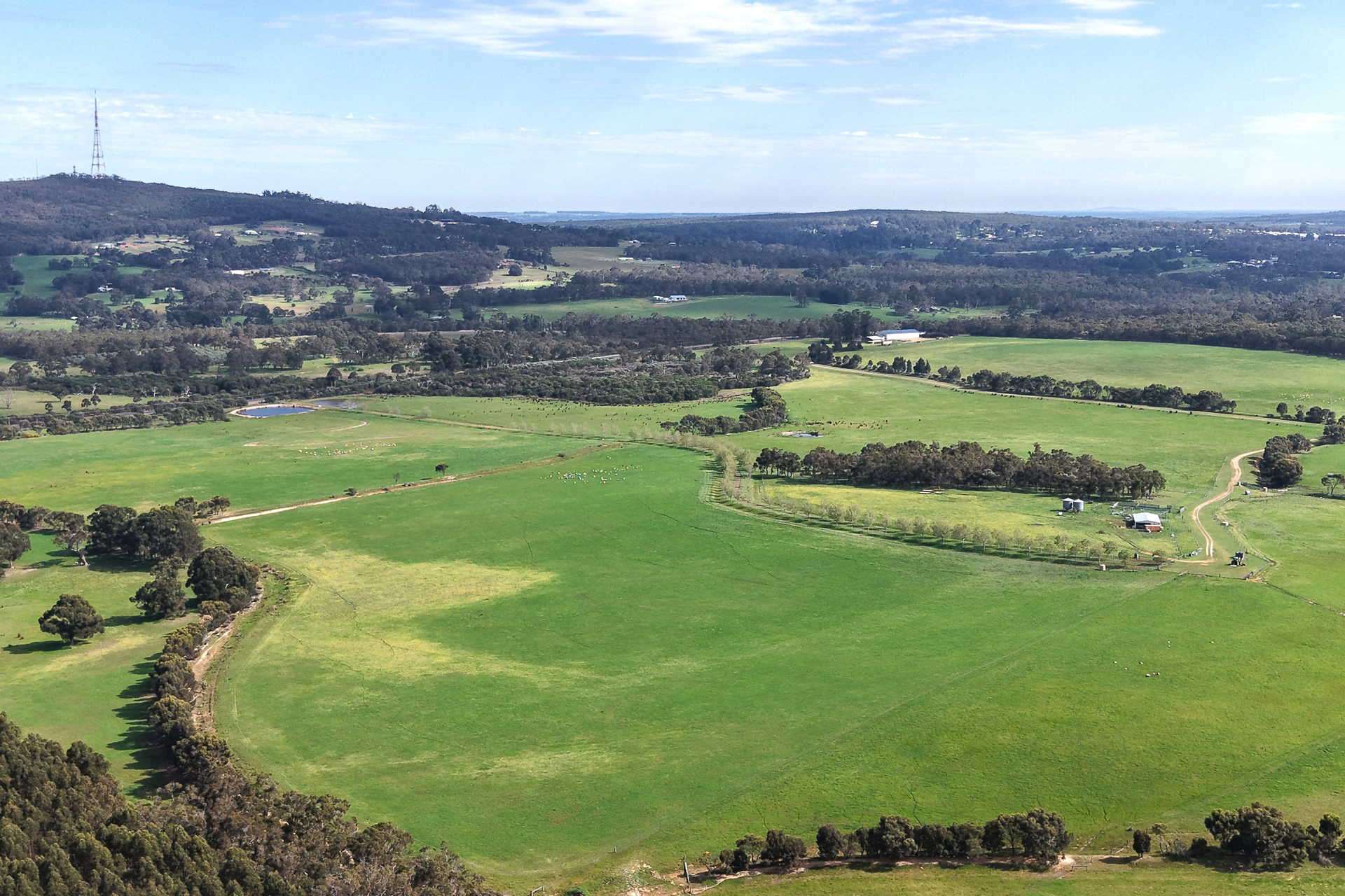 81 O'Neill Road, Mount Barker For Sale by Farmbuy.com - image 7