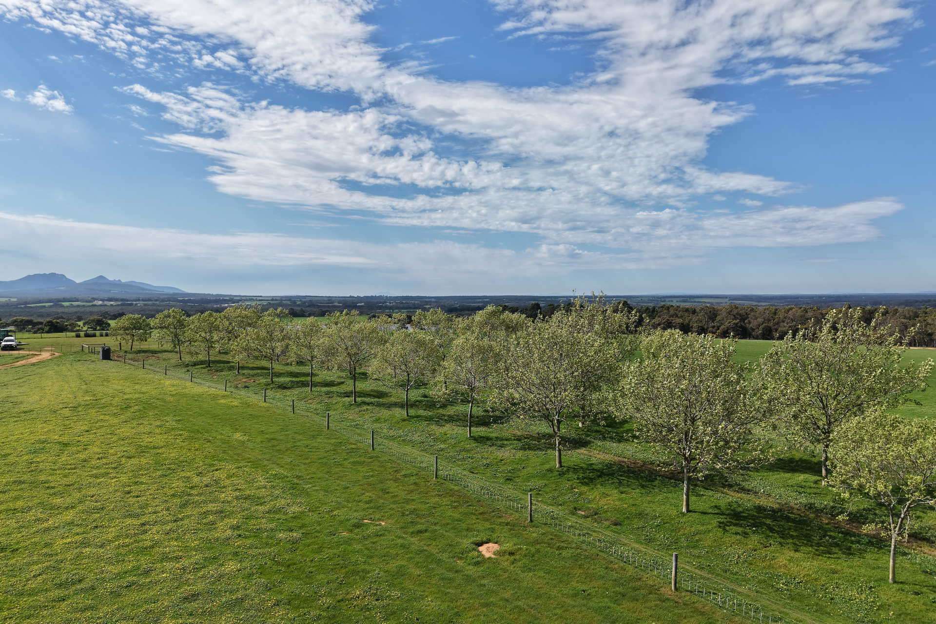 81 O'Neill Road, Mount Barker For Sale by Farmbuy.com - image 10