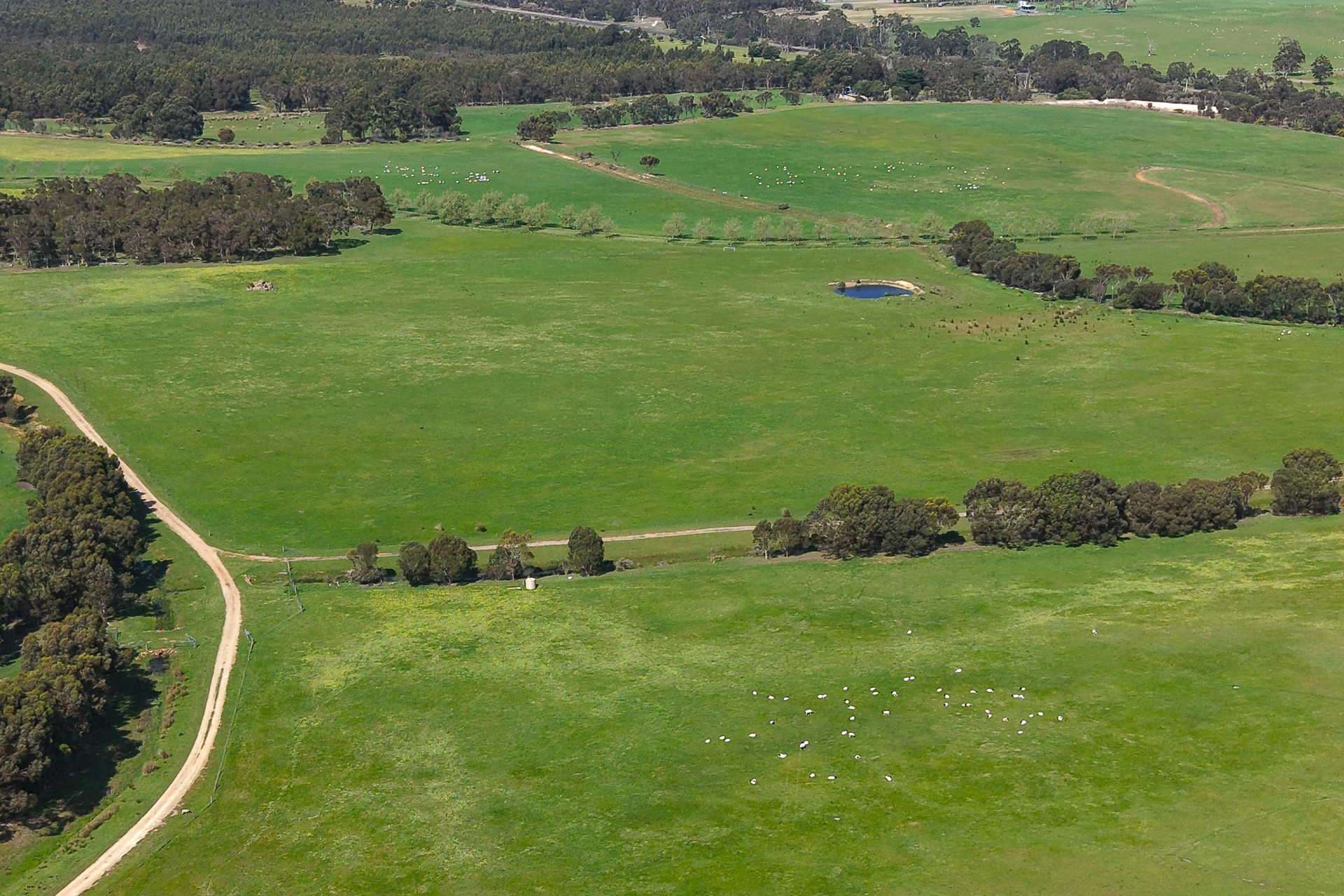 81 O'Neill Road, Mount Barker For Sale by Farmbuy.com - image 23