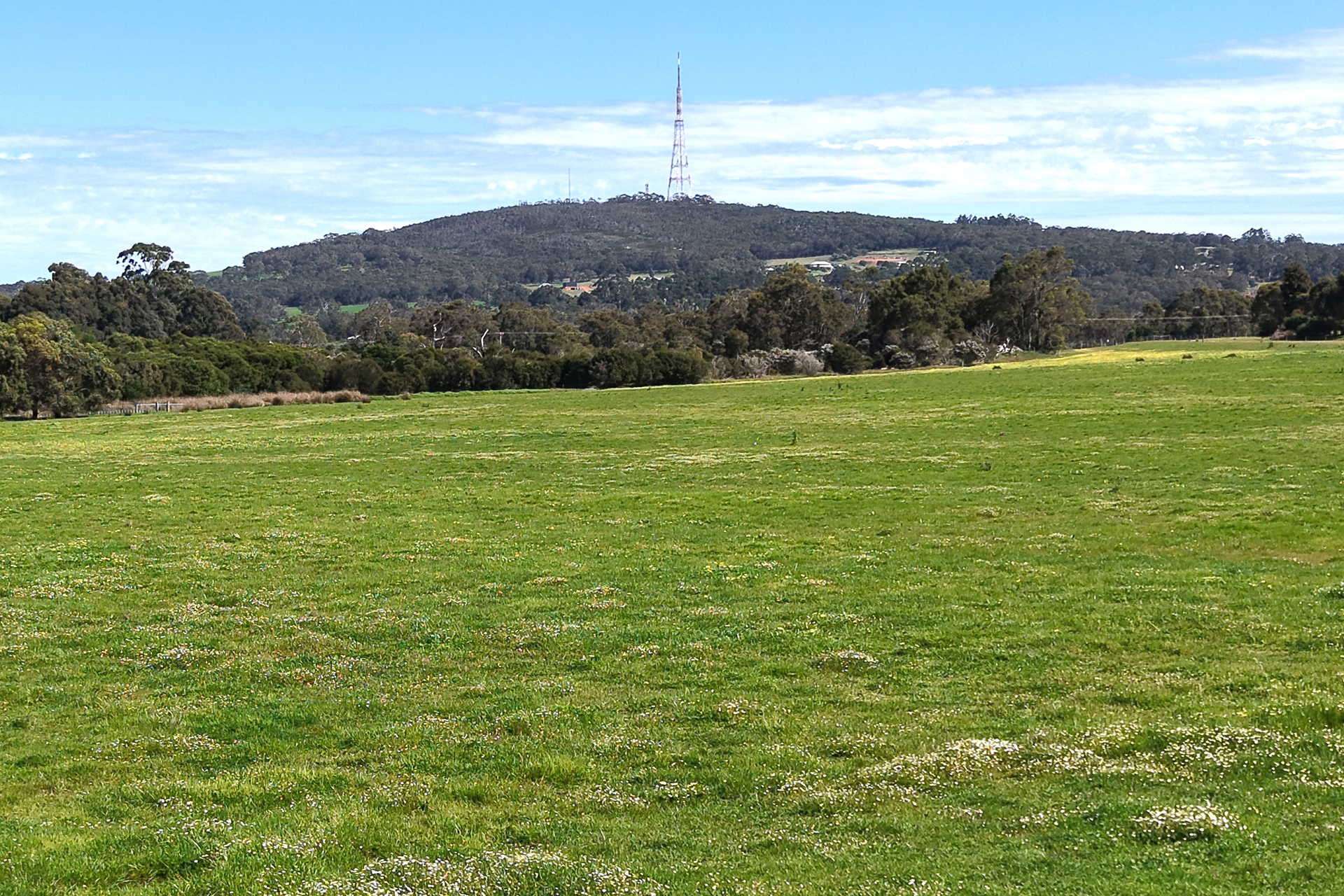 81 O'Neill Road, Mount Barker For Sale by Farmbuy.com - image 8