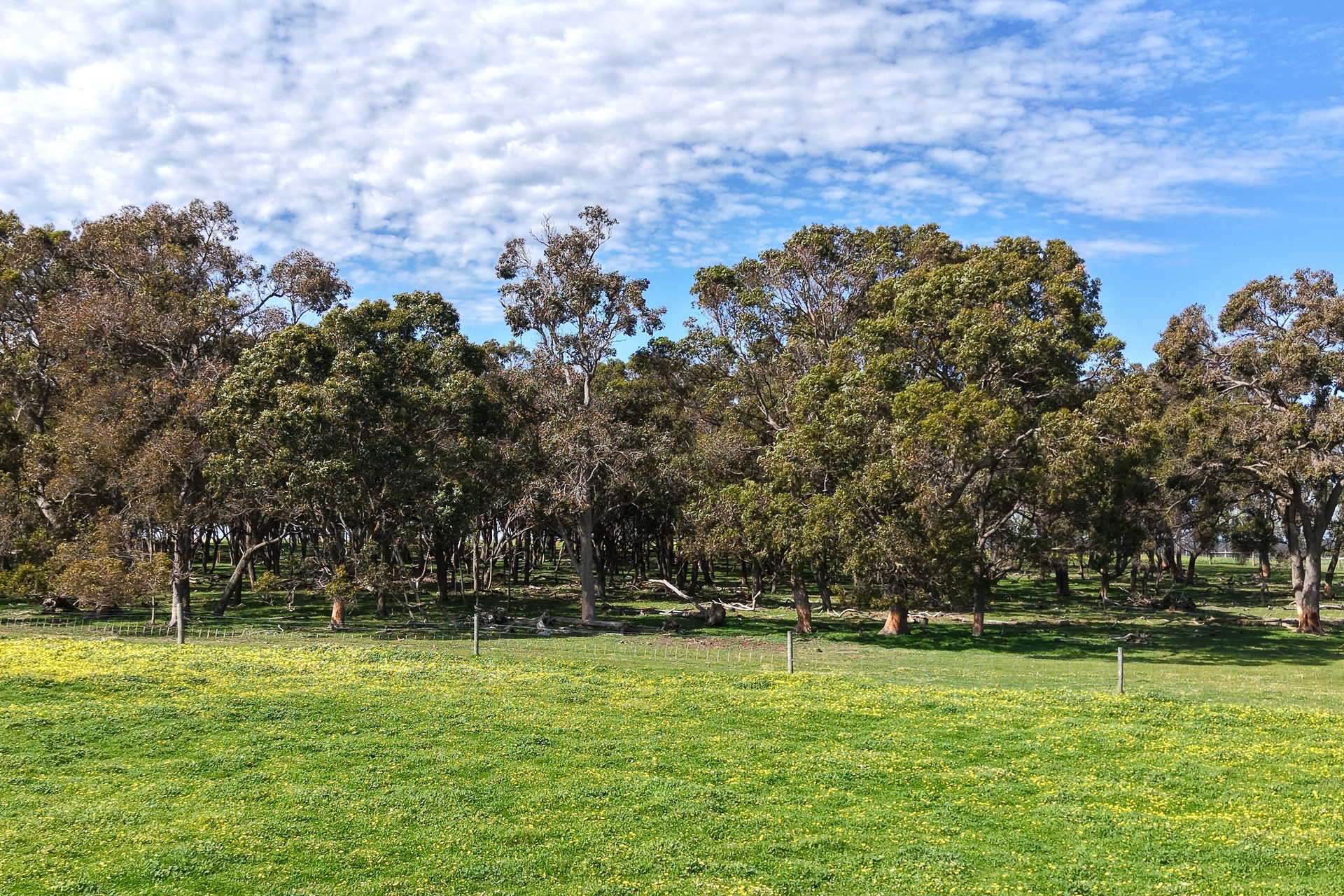 81 O'Neill Road, Mount Barker For Sale by Farmbuy.com - image 18