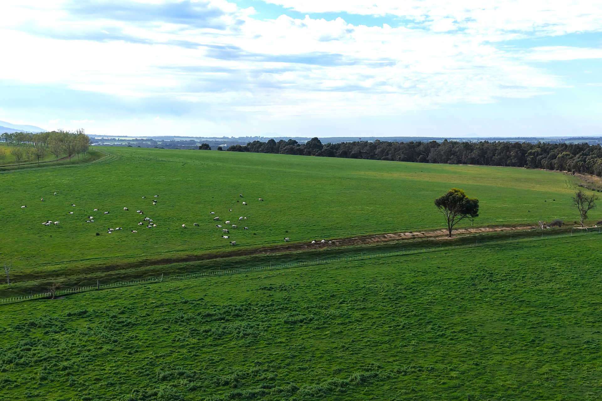 81 O'Neill Road, Mount Barker For Sale by Farmbuy.com - image 20