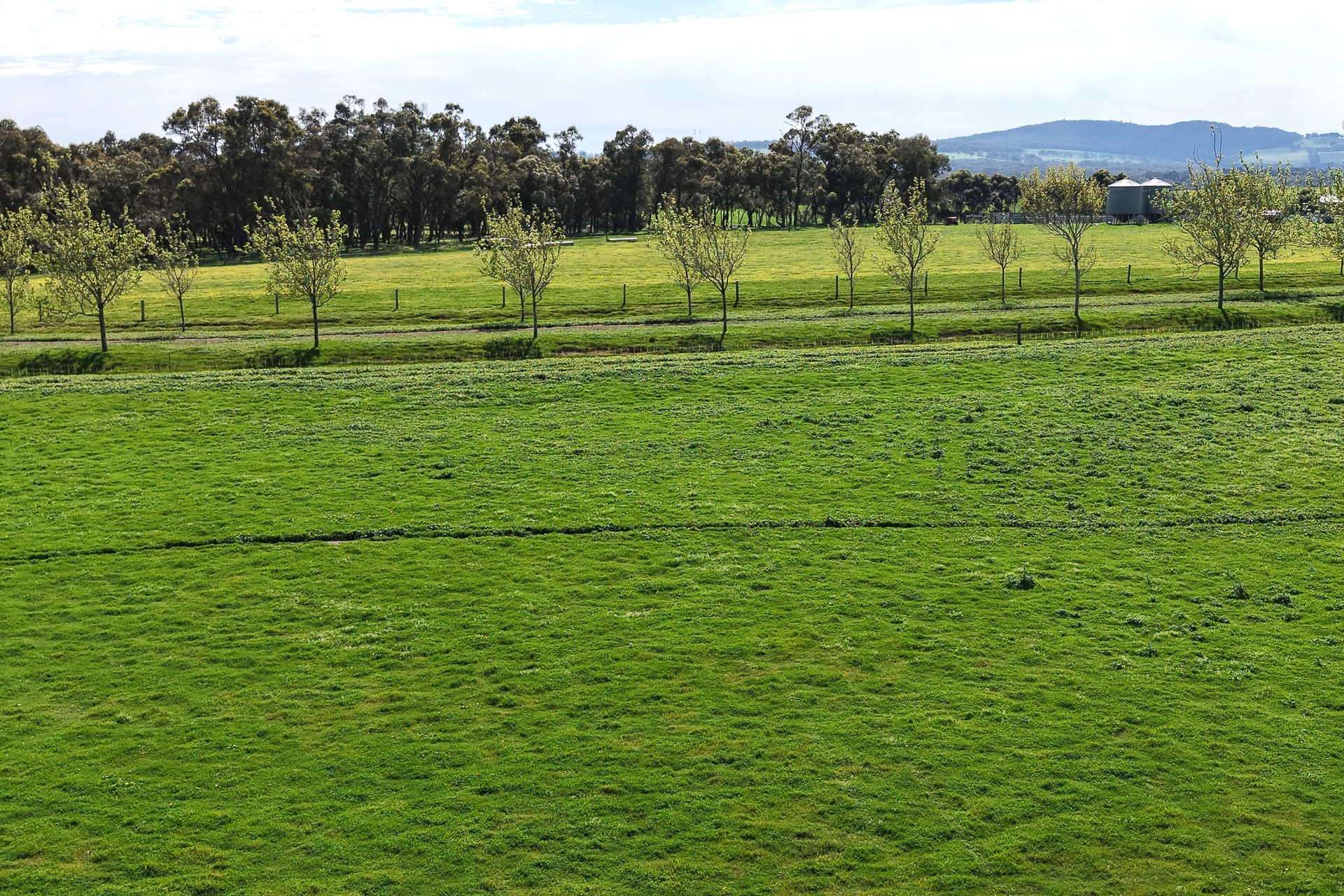 81 O'Neill Road, Mount Barker For Sale by Farmbuy.com - image 17