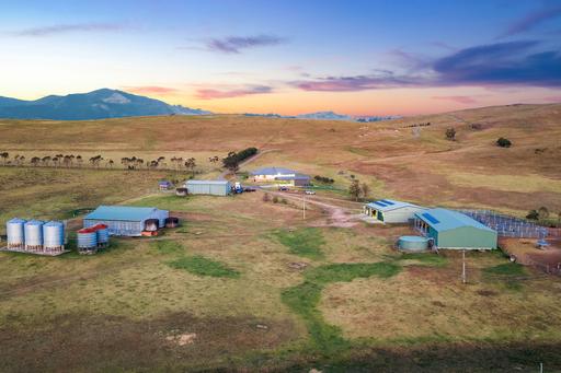 Farm For Sale - NSW - Bridgman - 2330 - Crystal Hill | 315 private acres, permanent water, productive country and a 30 year family farming legacy hidden beyond the road 